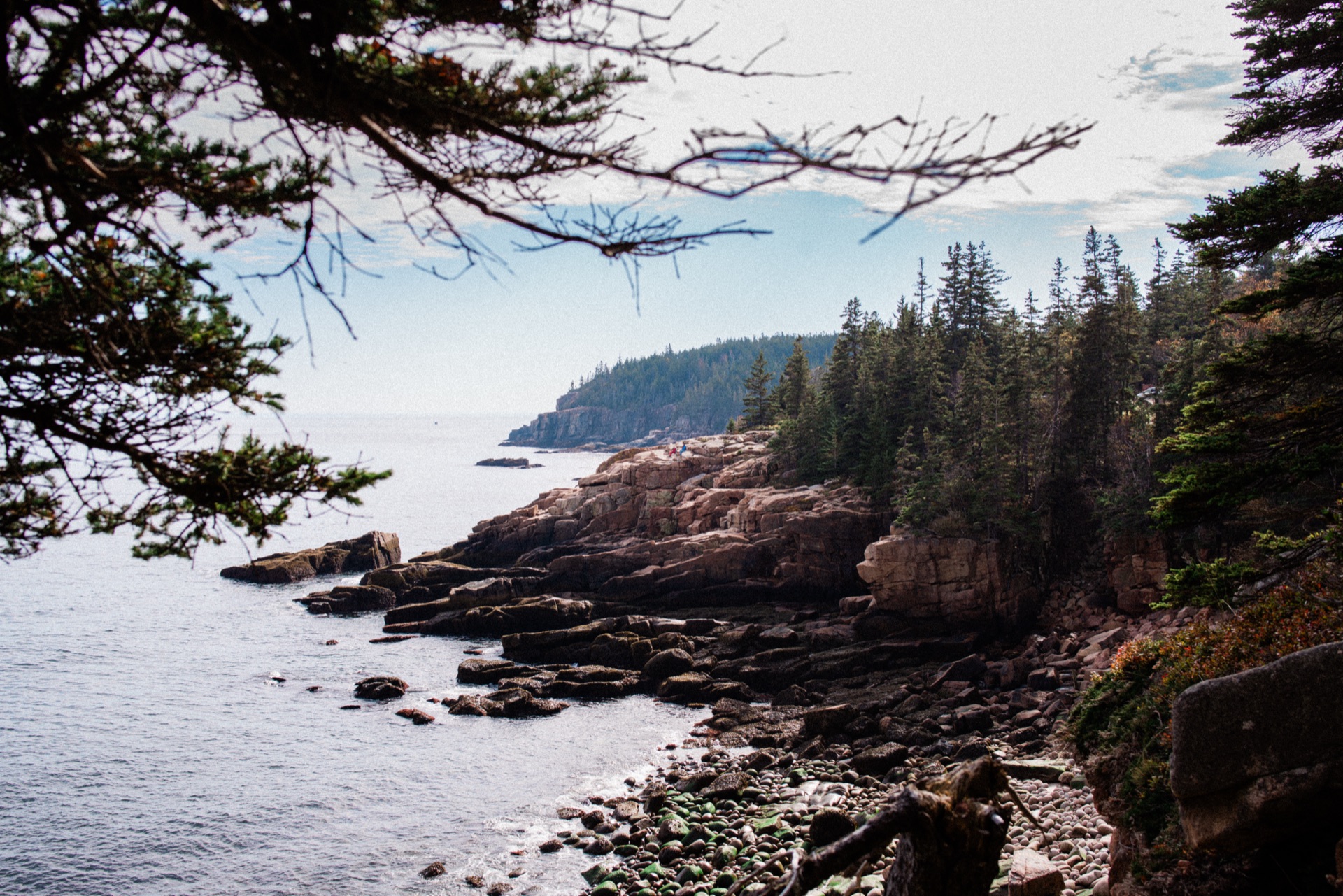 Acadia, Maine — photo 6