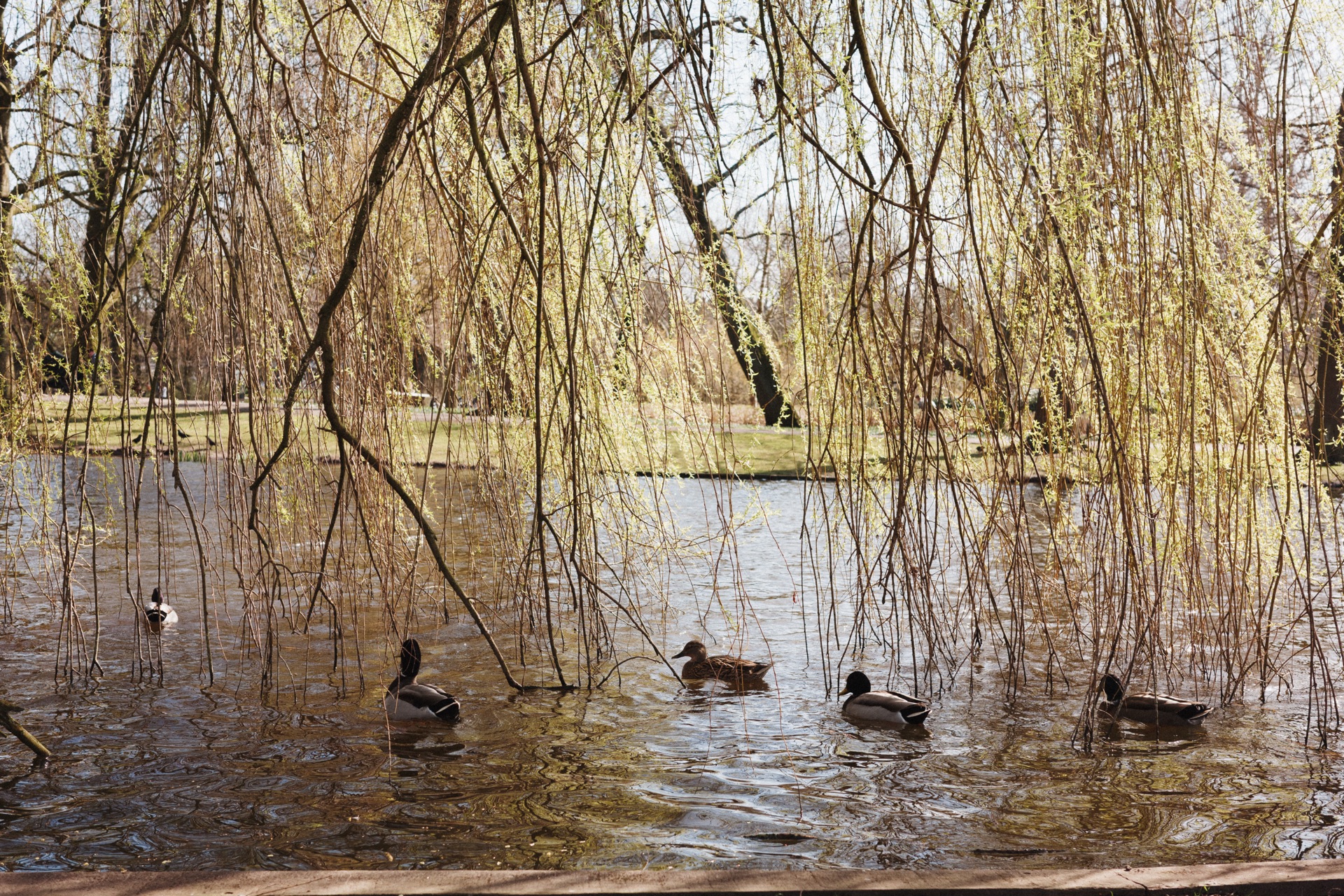 Amsterdam, Netherlands — photo 18