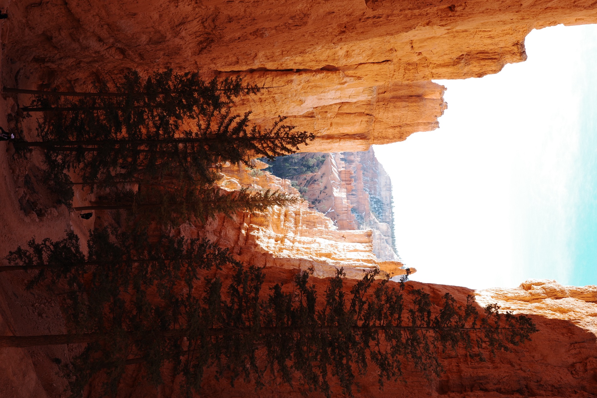 Bryce Canyon NP, Utah — photo 5