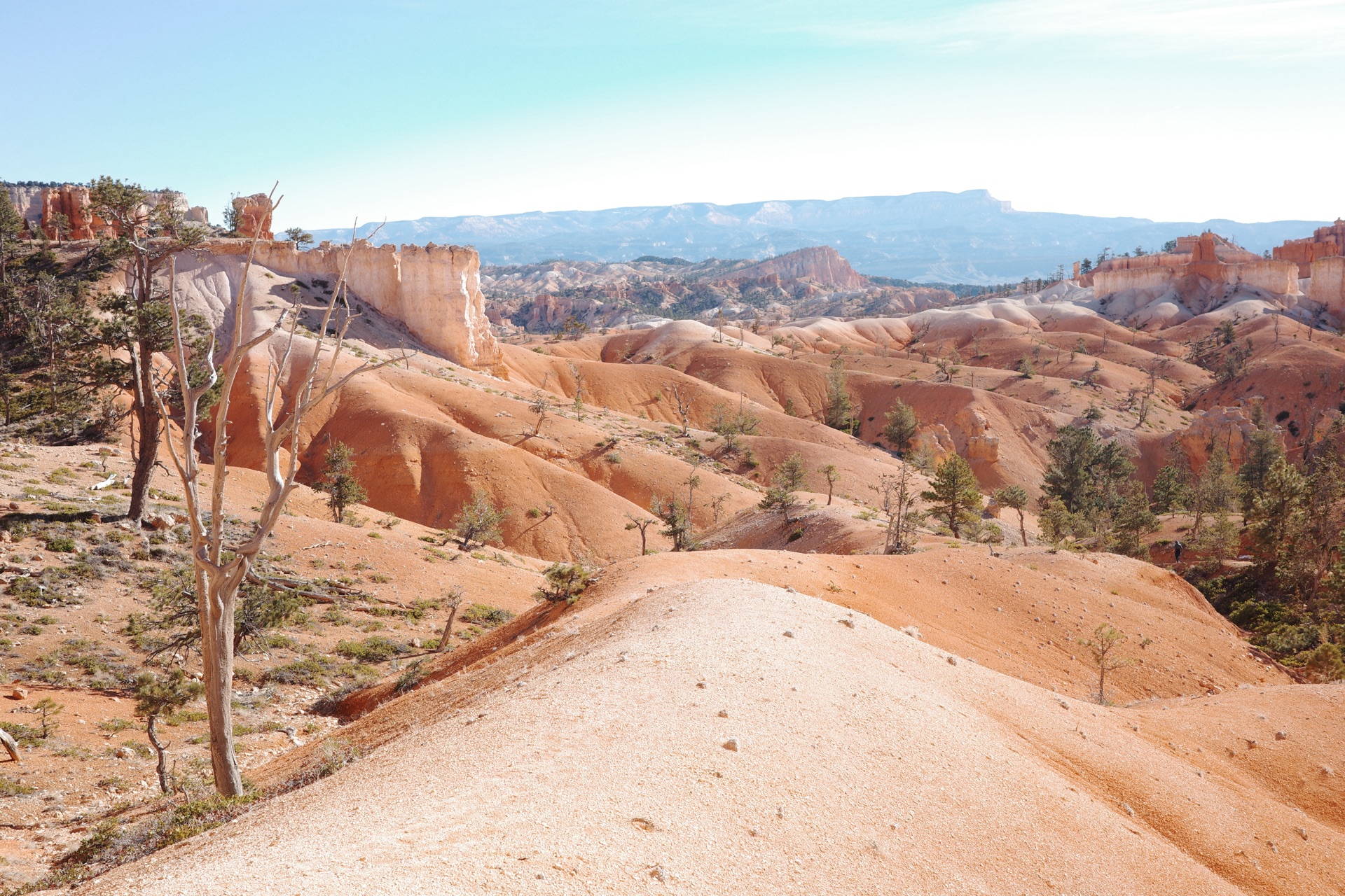 Bryce Canyon NP, Utah — photo 6