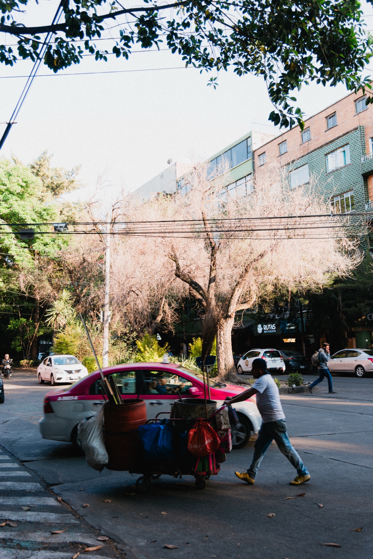 Ciudad de México, Mexico — photo 2