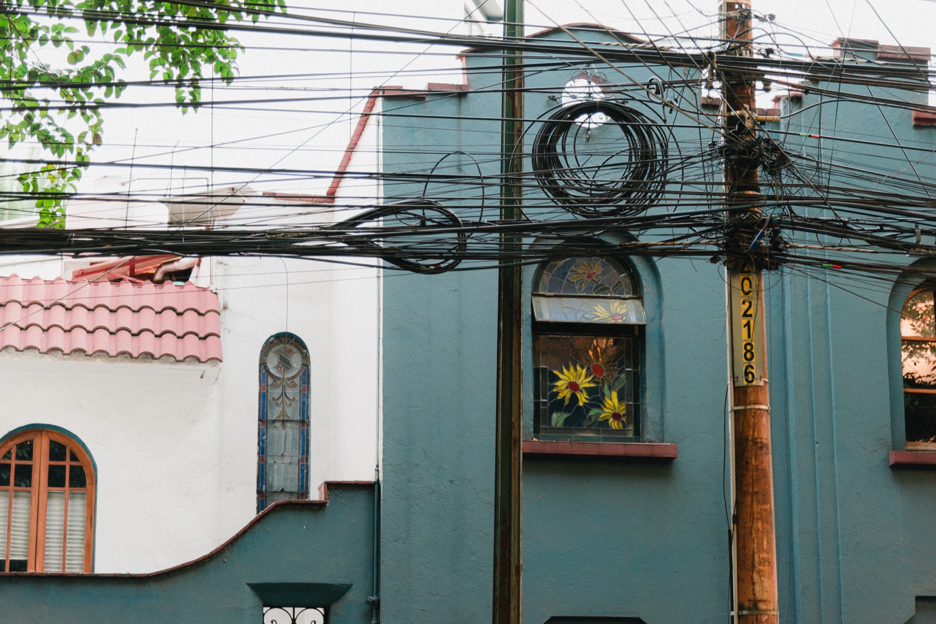 Ciudad de México, Mexico — photo 4