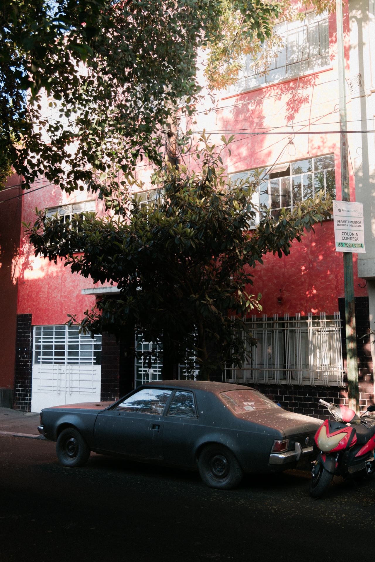 Ciudad de México, Mexico — photo 8