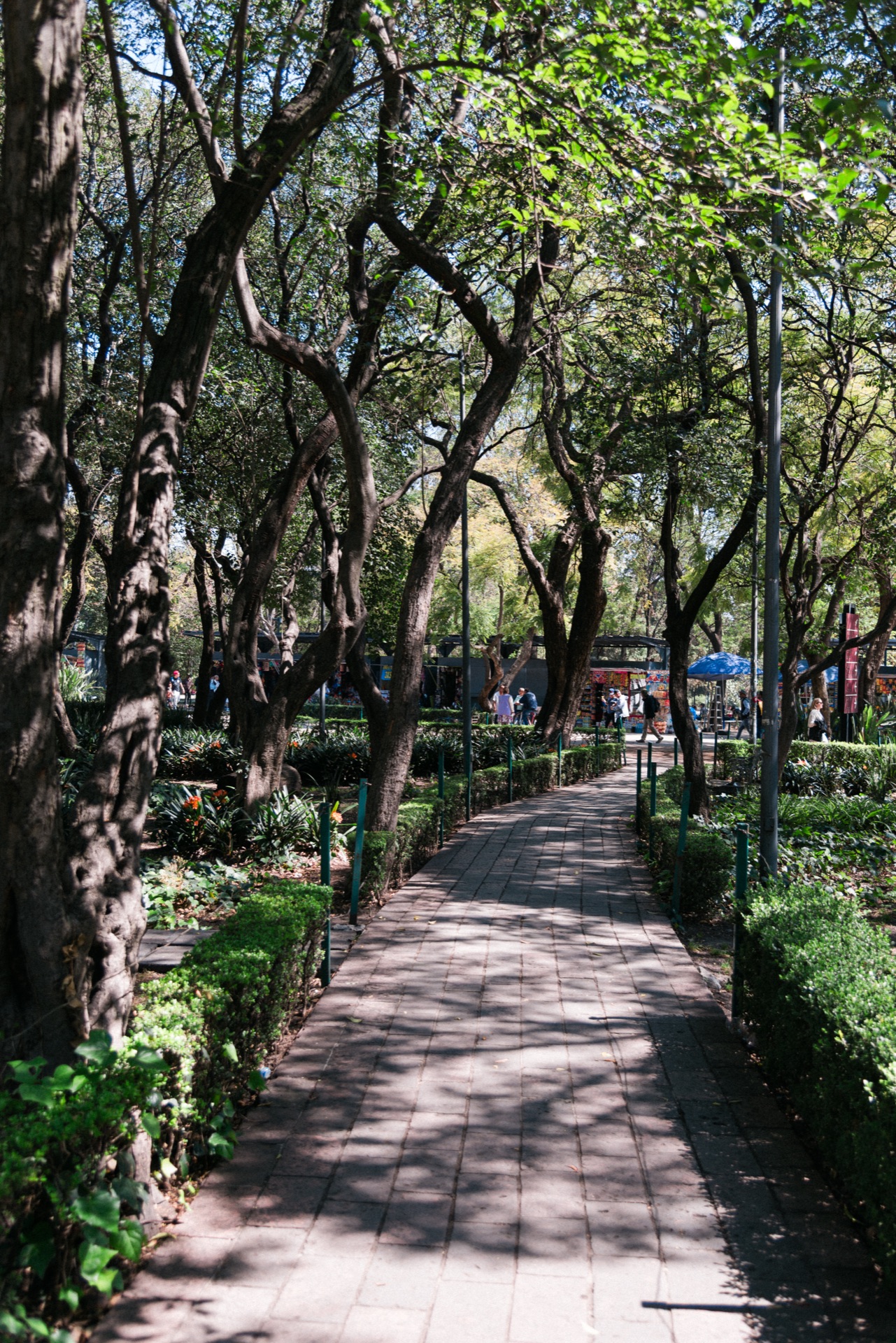 Ciudad de México, Mexico — photo 14