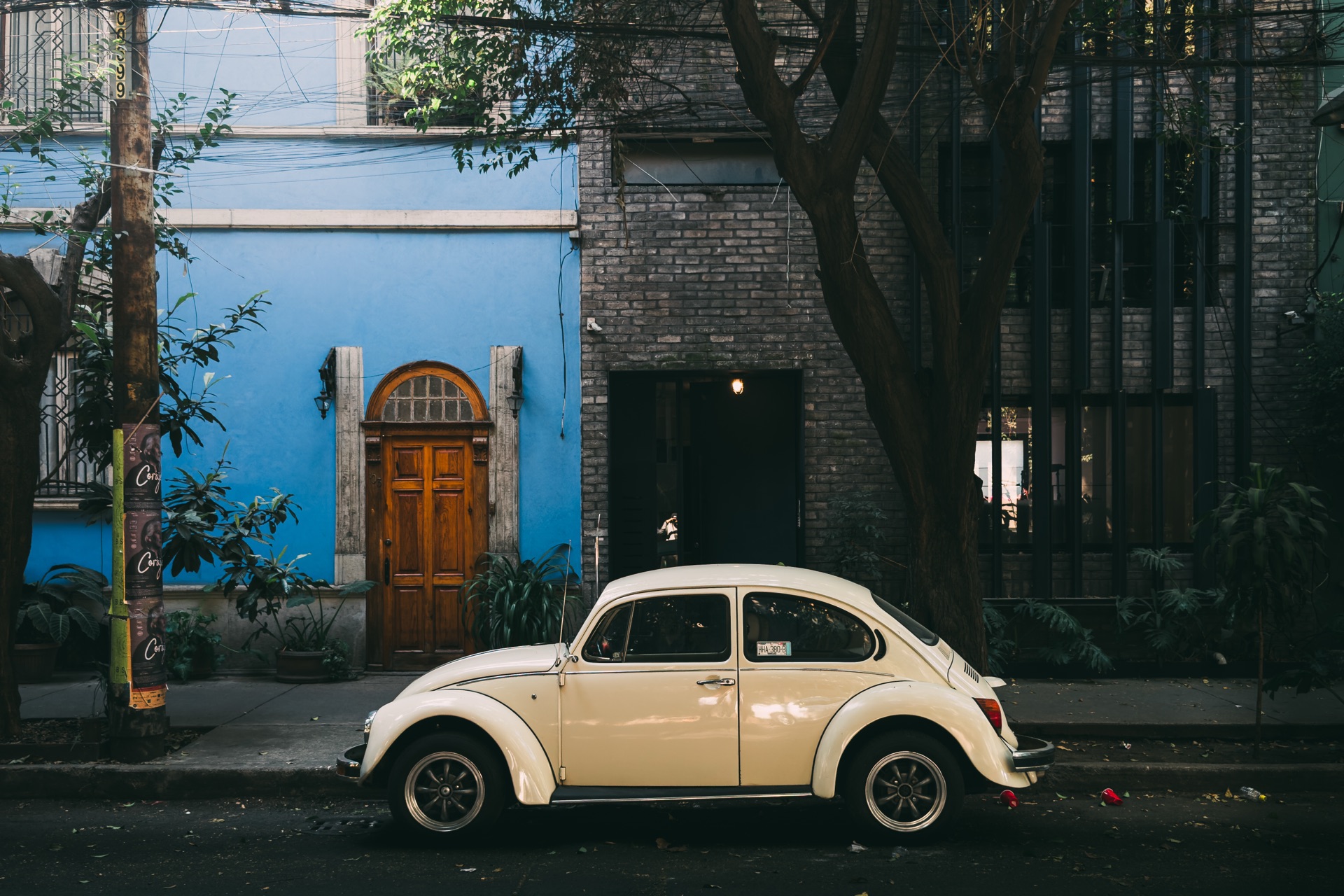 Ciudad de México, Mexico — photo 18