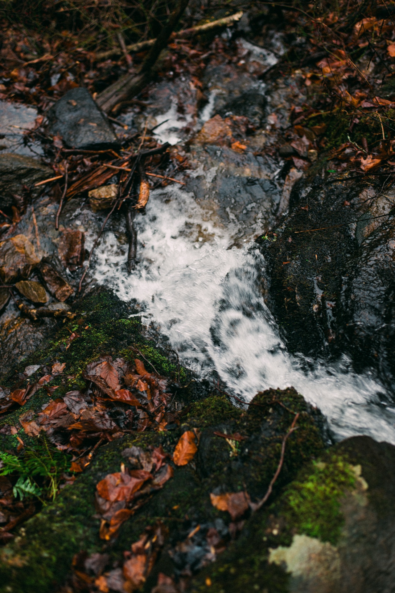 Connecticut — photo 2