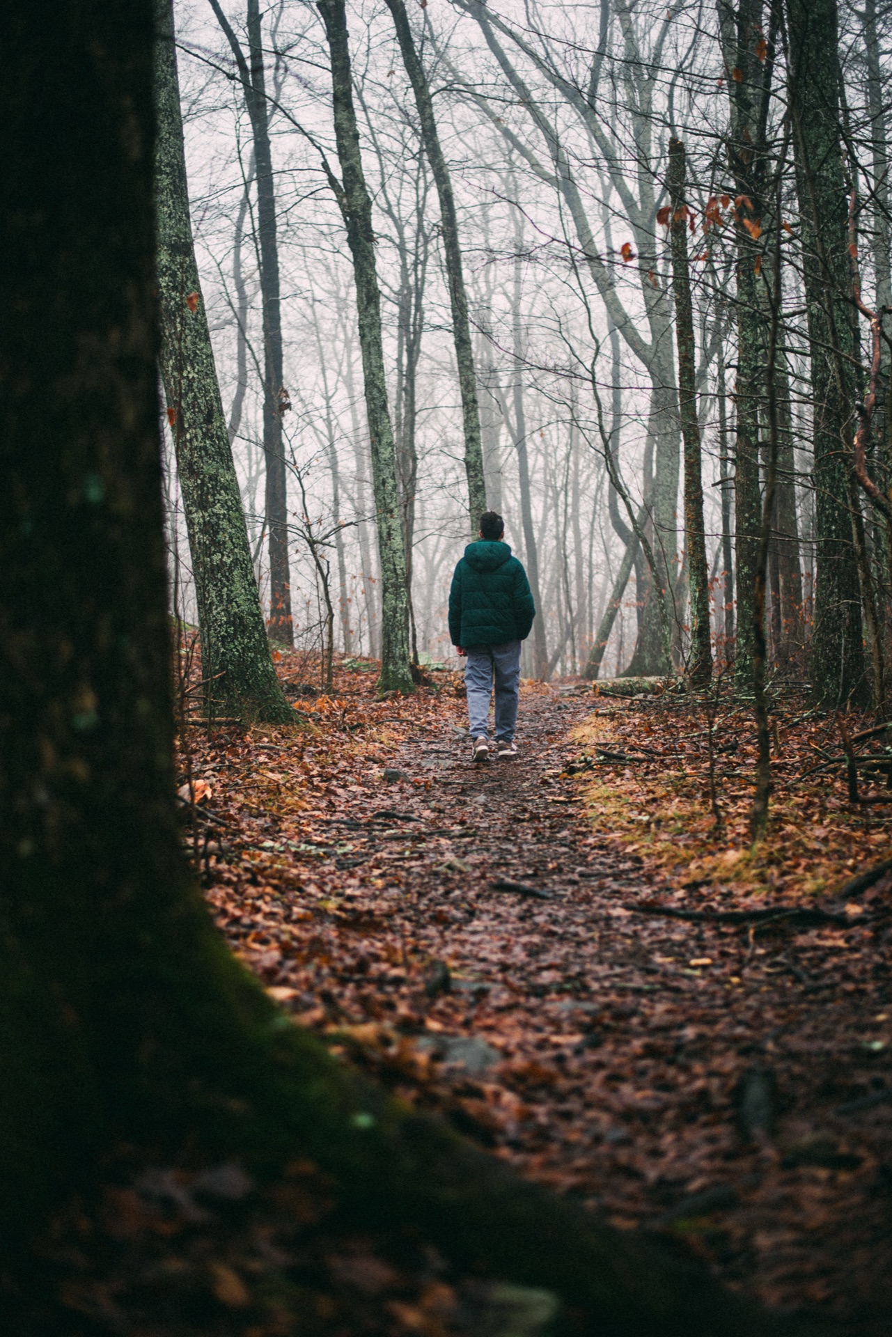 Connecticut — photo 3