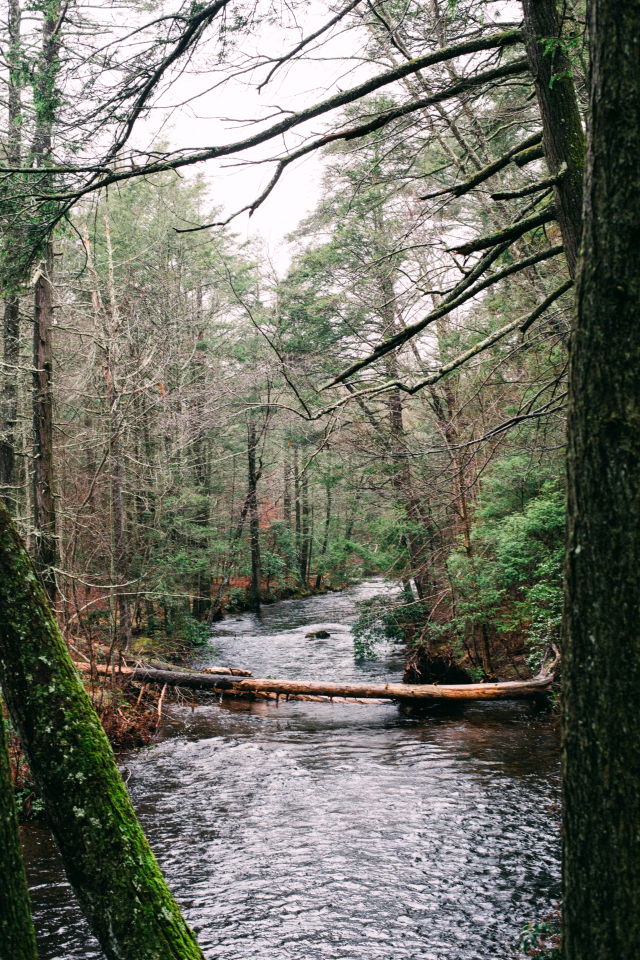 Connecticut — photo 4