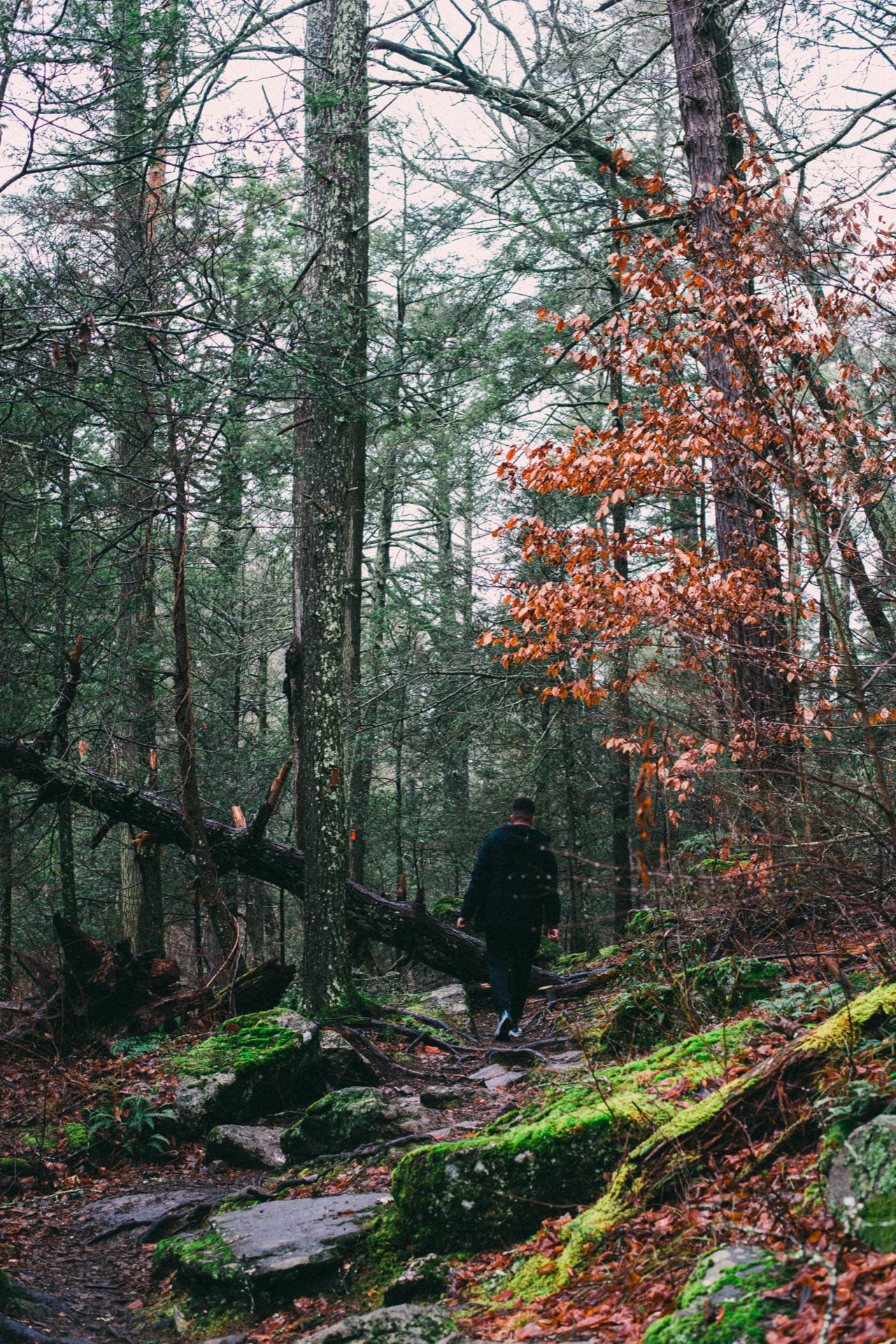 Connecticut — photo 5