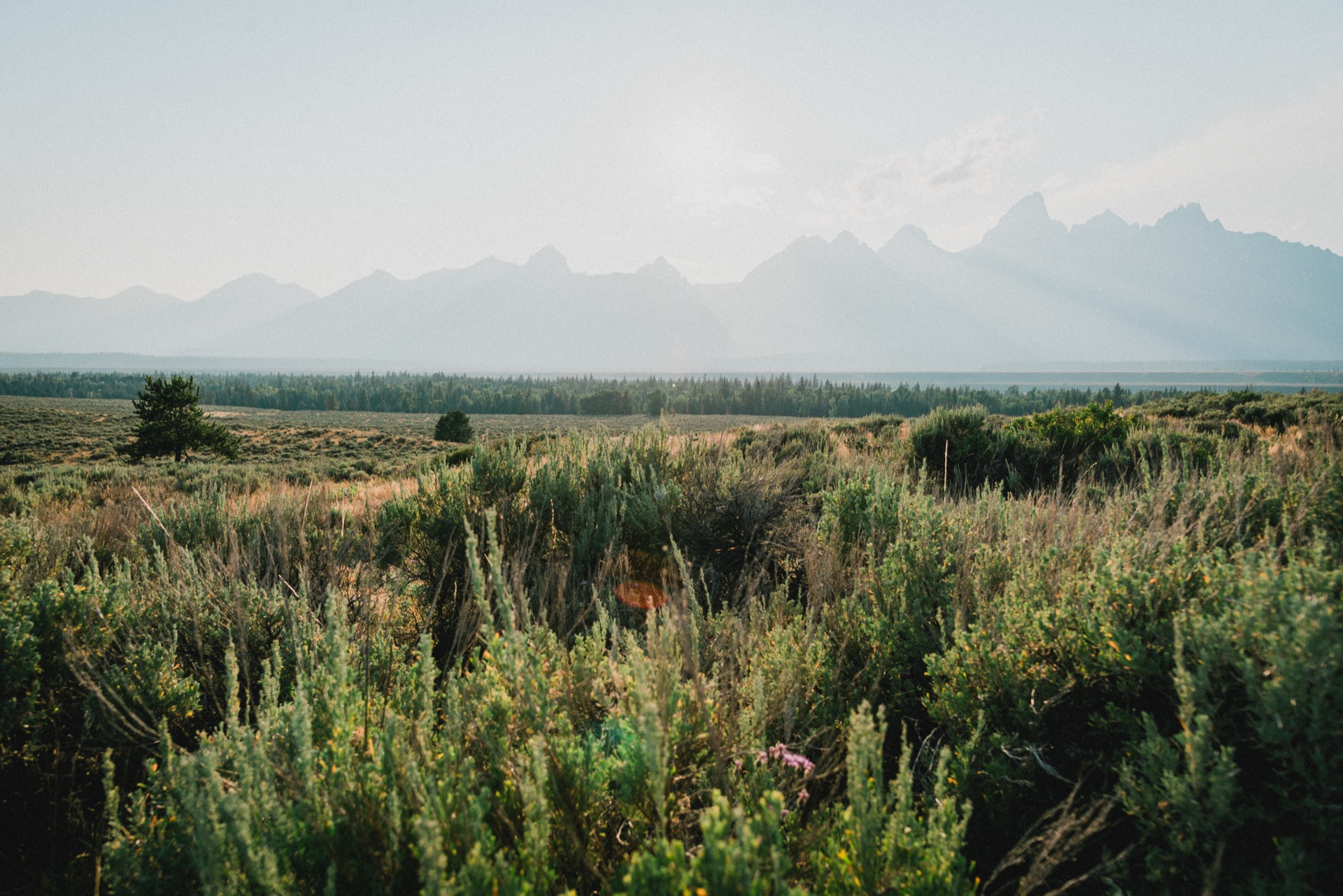 Grand Teton NP, Wyoming — photo 1