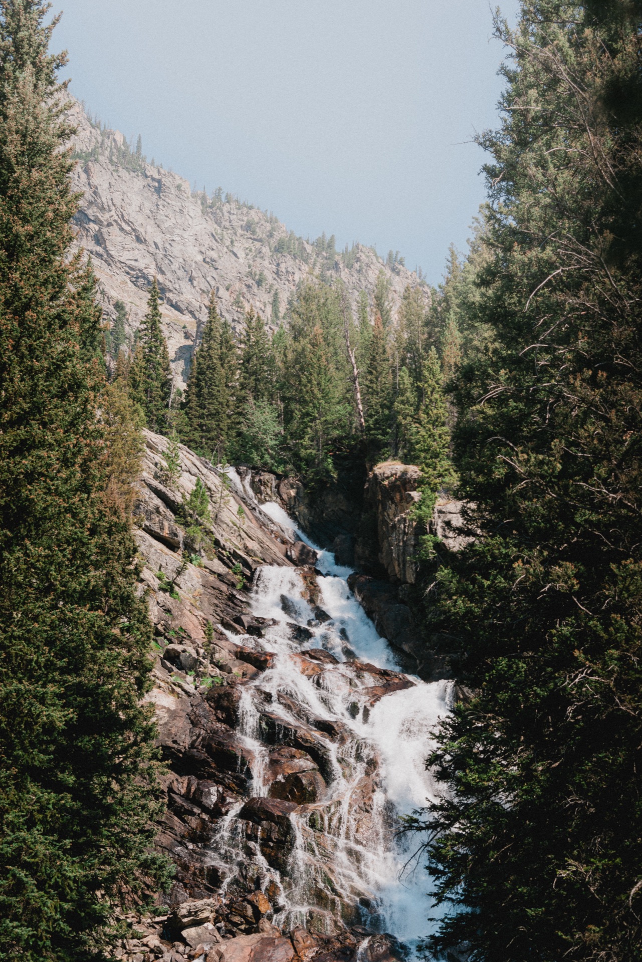 Grand Teton NP, Wyoming — photo 6