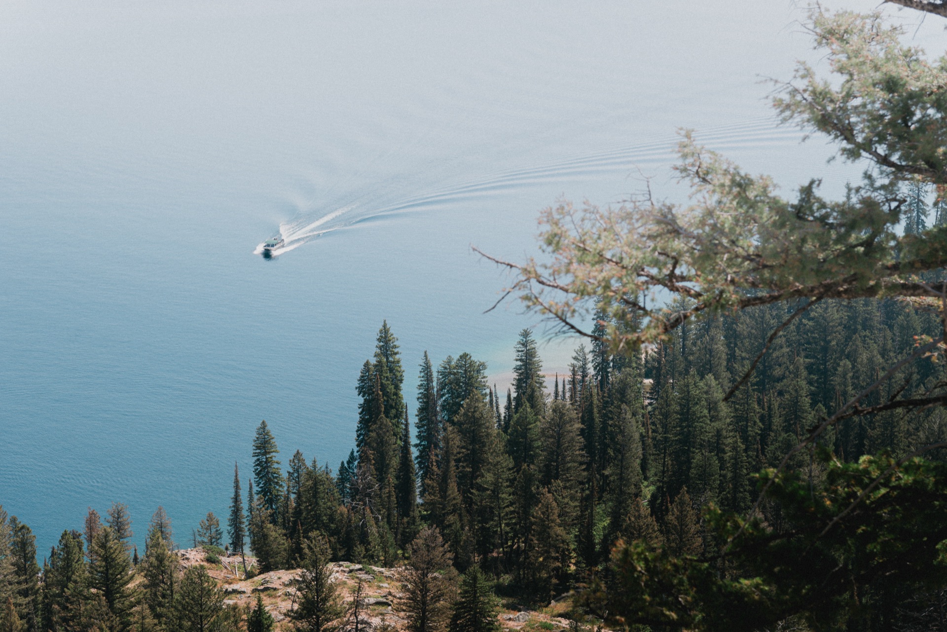 Grand Teton NP, Wyoming — photo 8