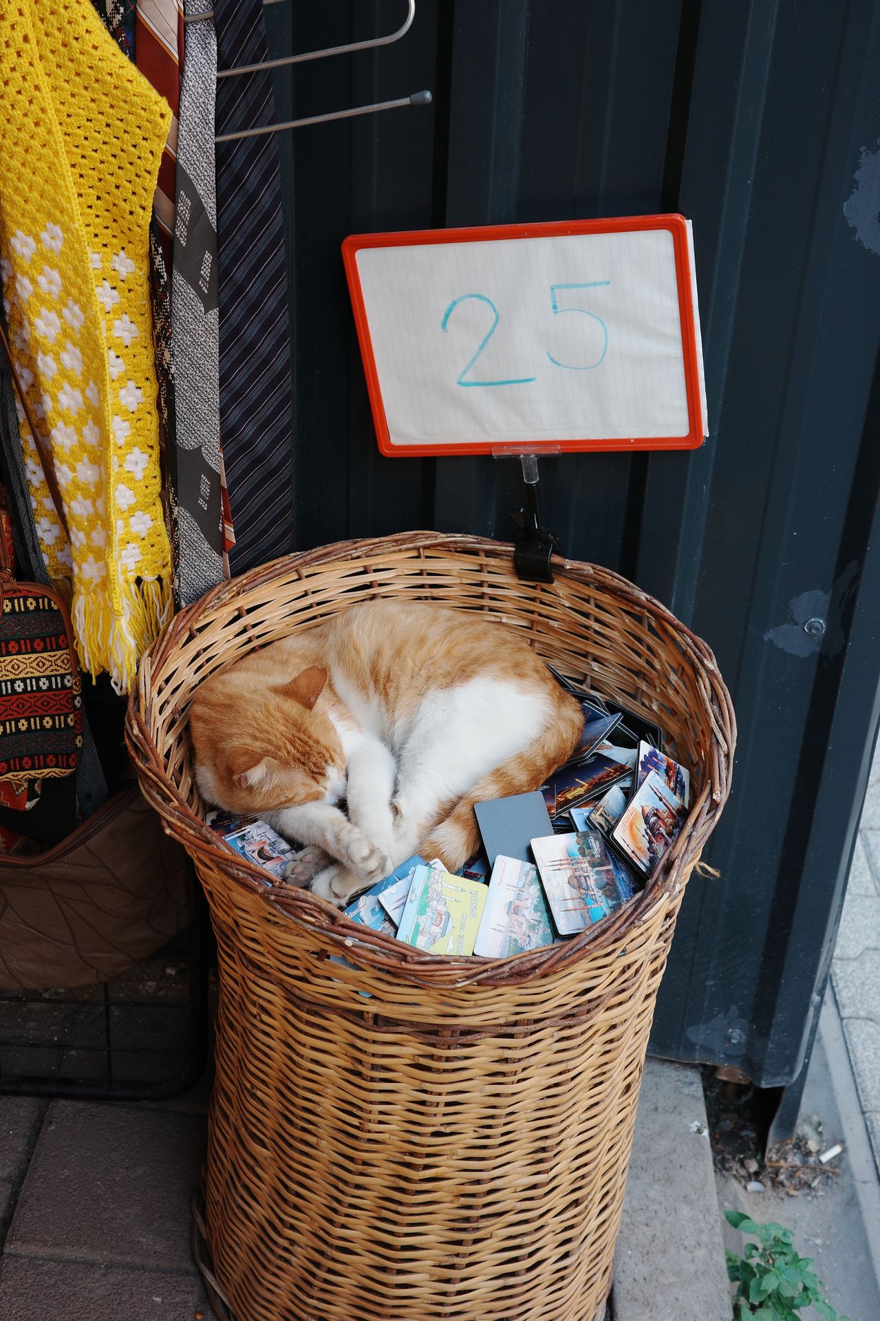 Istanbul, Turkey — photo 23