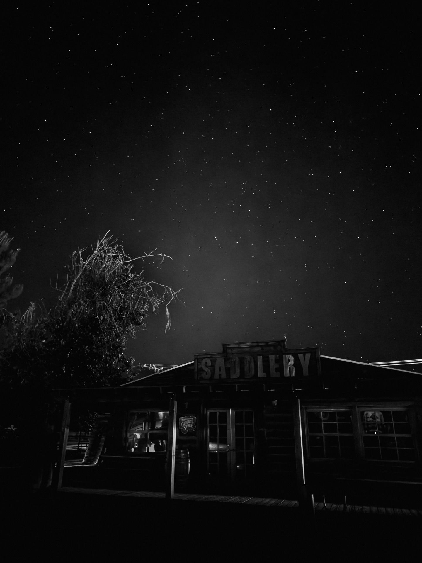 Joshua Tree NP, California — photo 1