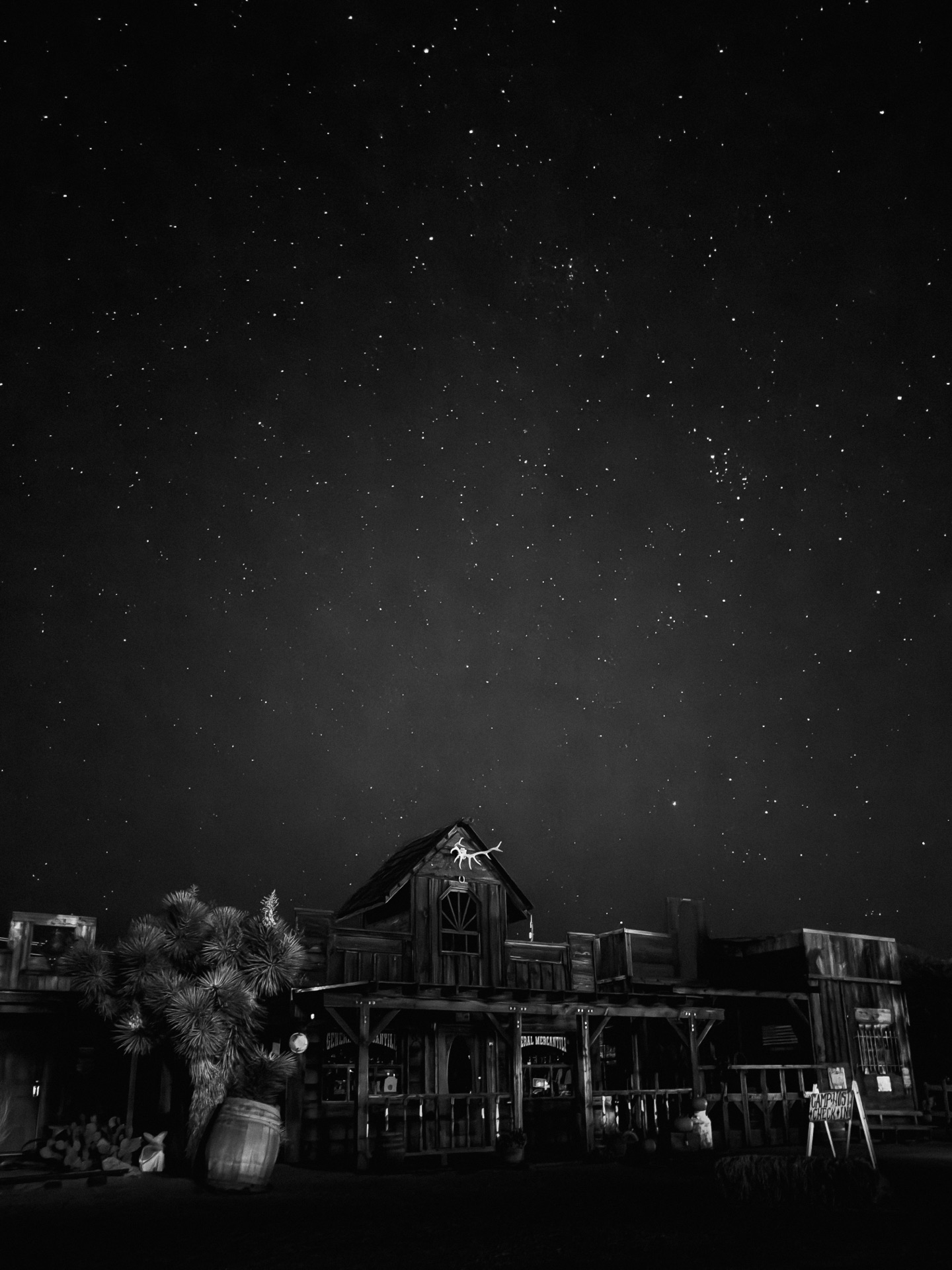 Joshua Tree NP, California — photo 2