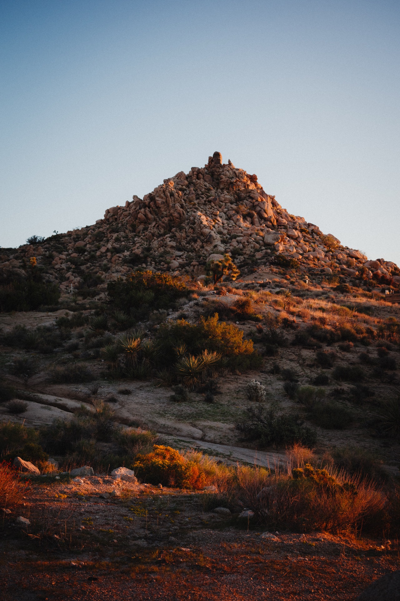 Joshua Tree NP, California — photo 3