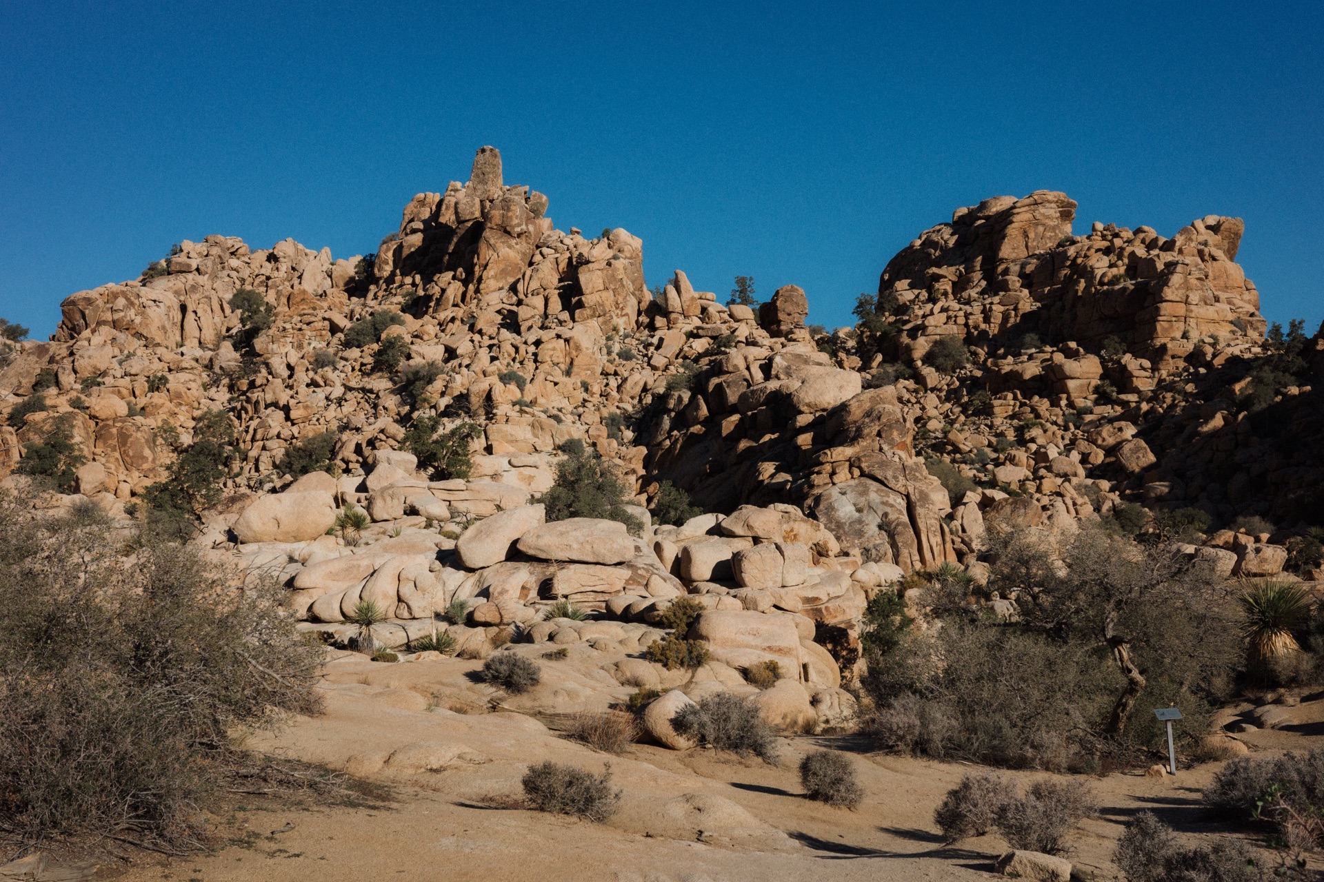 Joshua Tree NP, California — photo 7