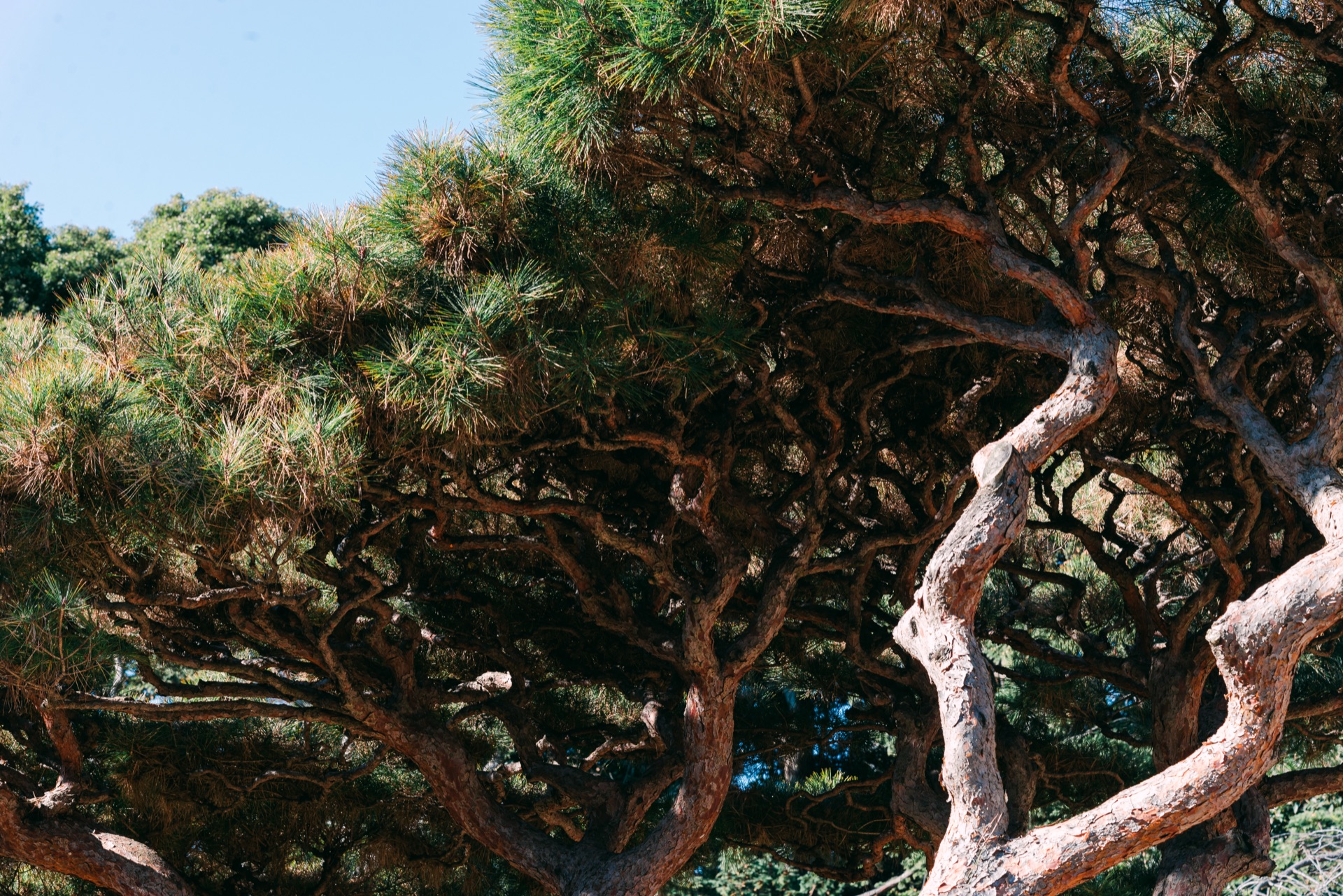 Kyoto & Osaka, Japan — photo 1