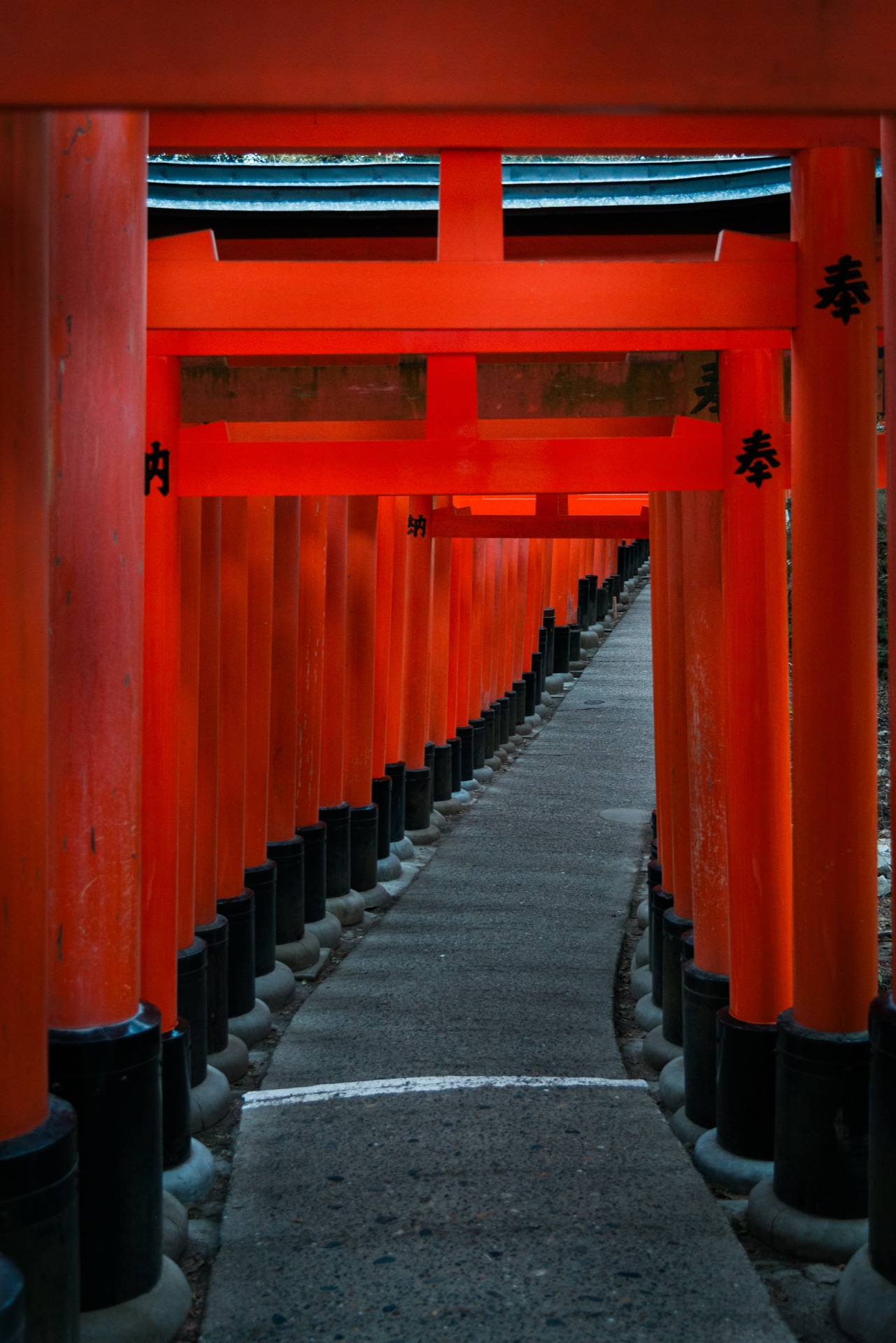 Kyoto & Osaka, Japan — photo 3