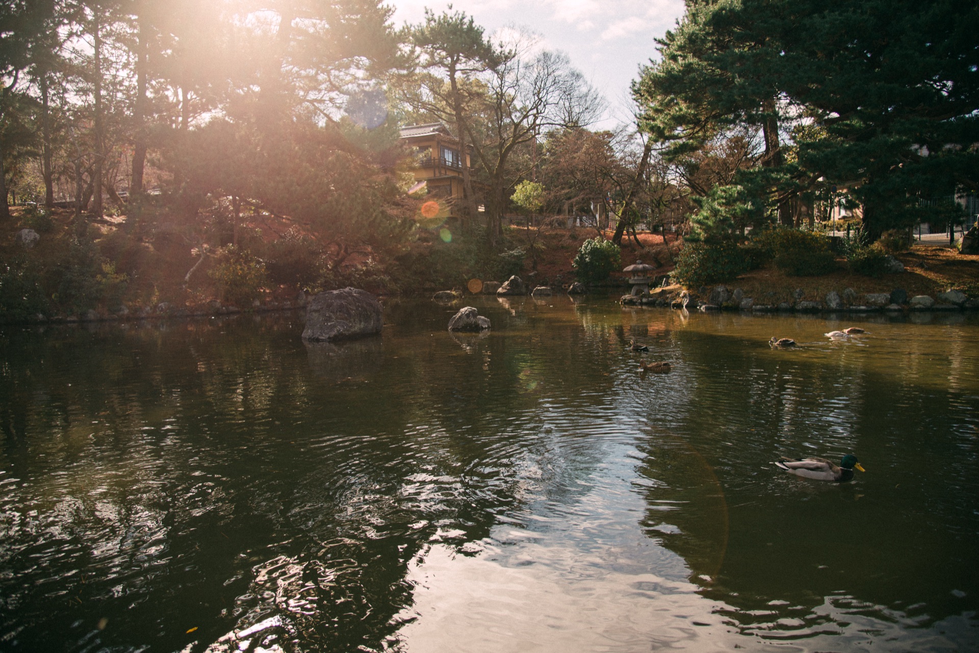 Kyoto & Osaka, Japan — photo 6