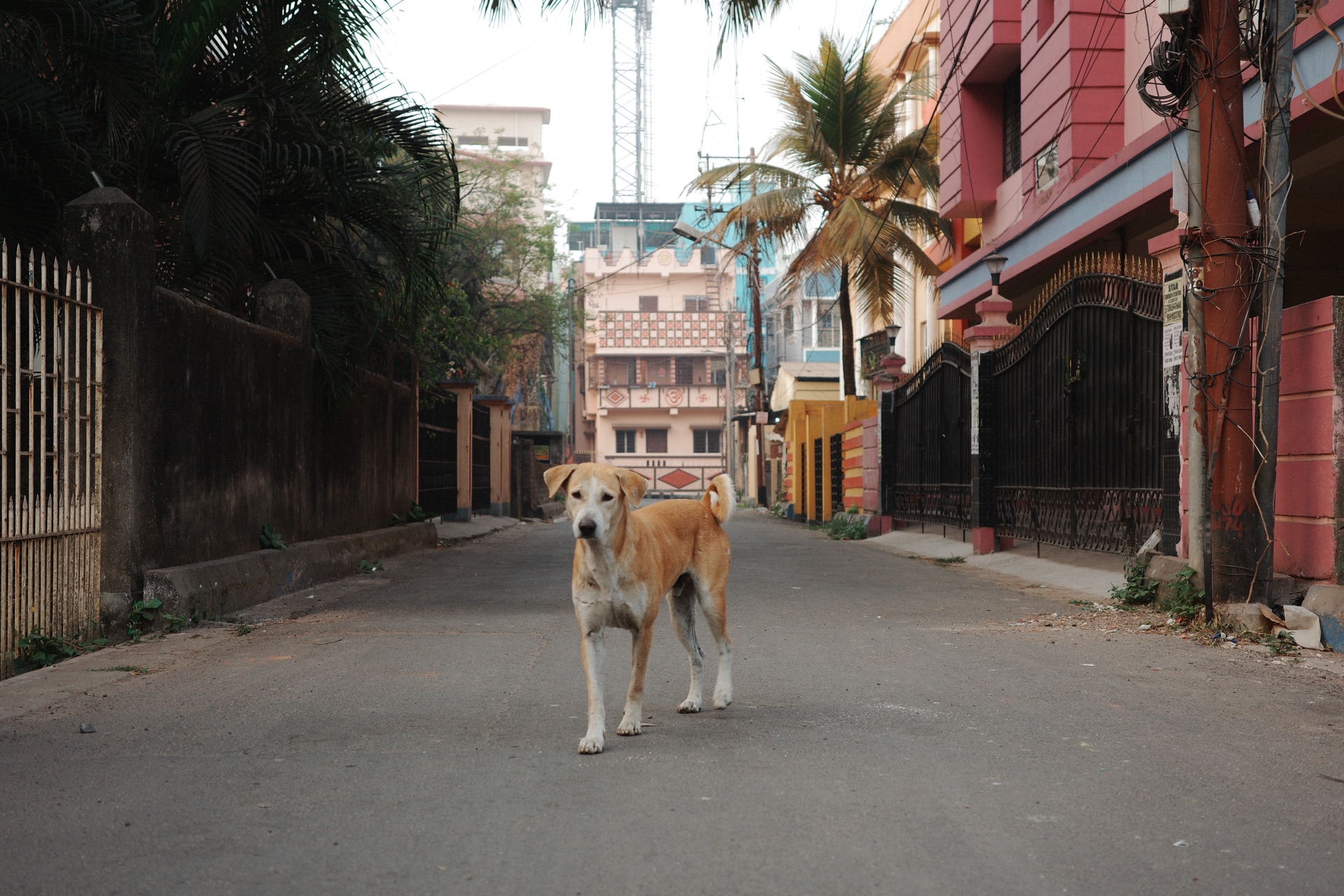 New Delhi, India — photo 1