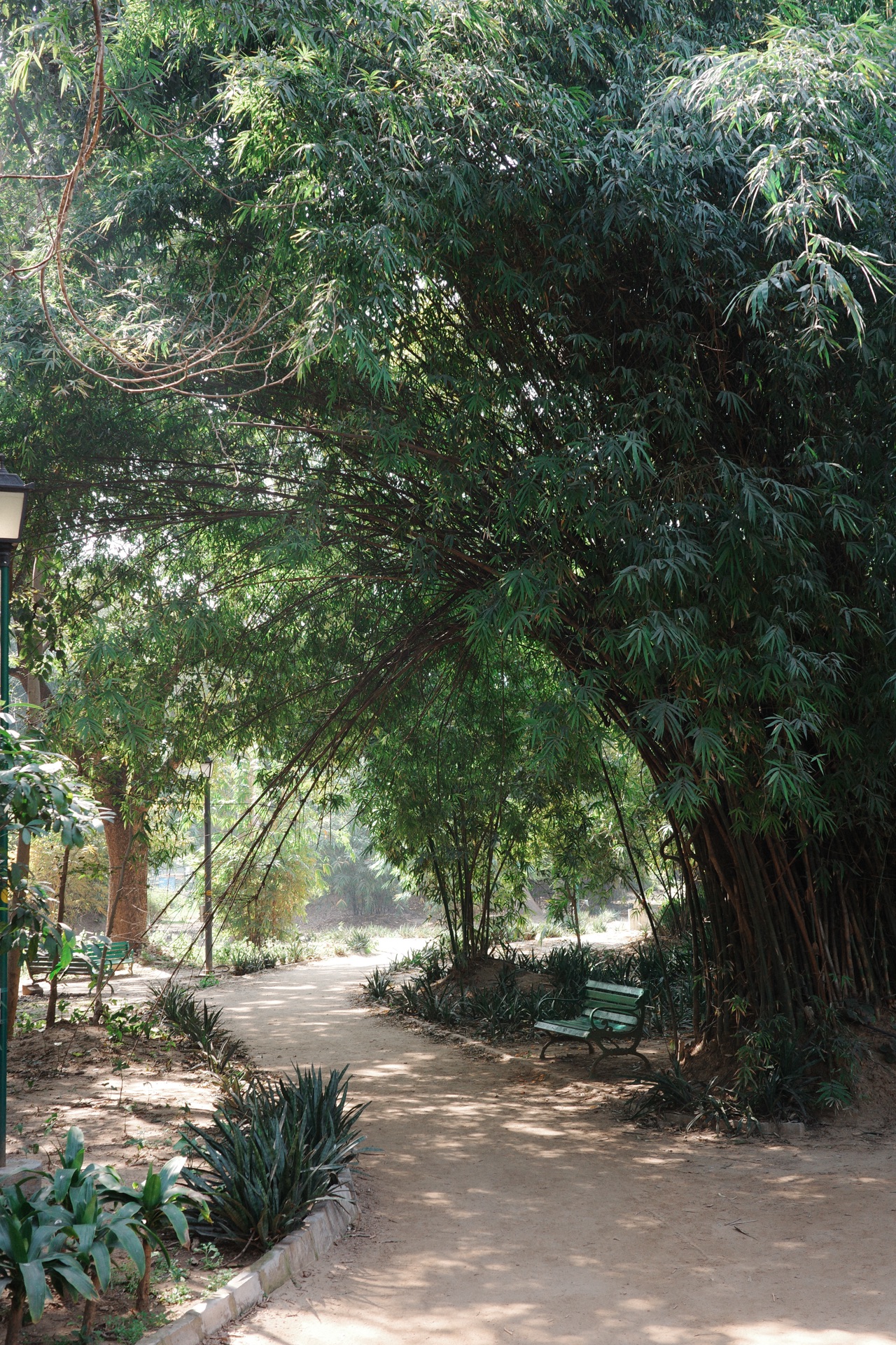 New Delhi, India — photo 10