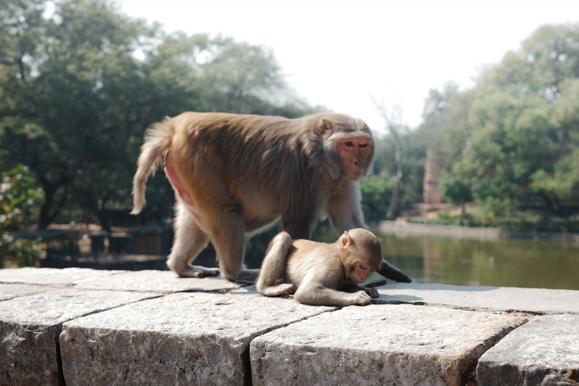 New Delhi, India — photo 12