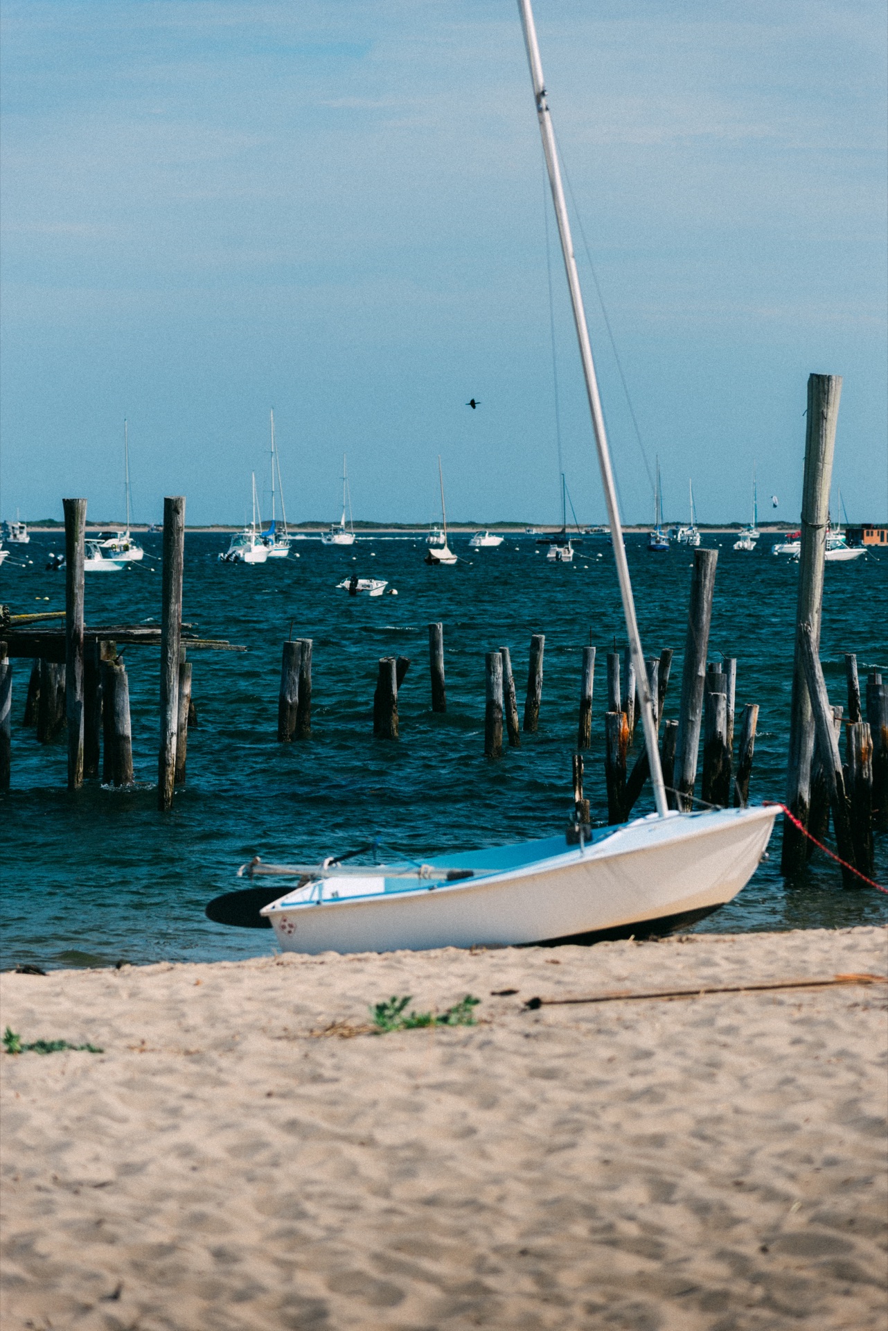 Provincetown, Cape Cod — photo 5