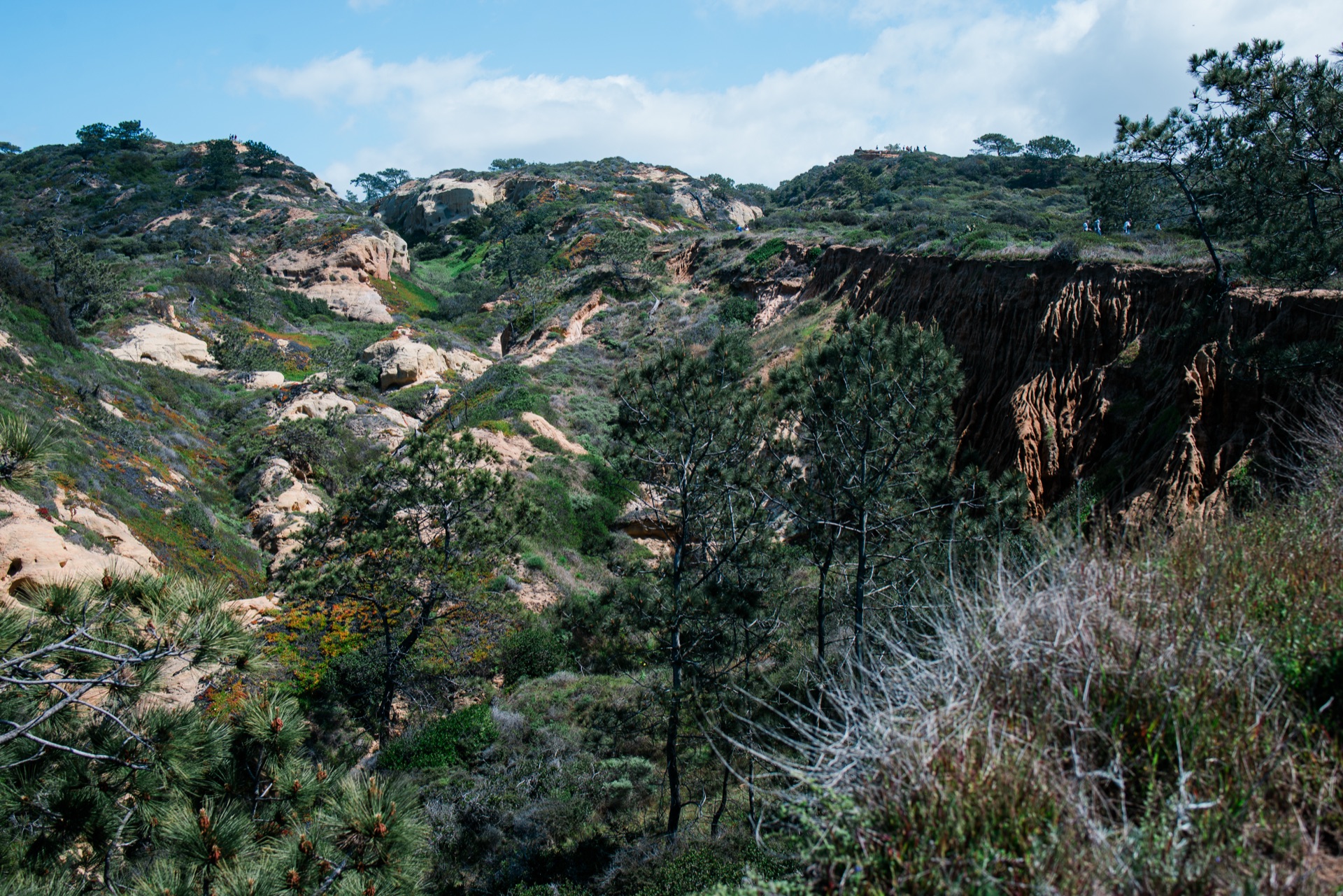 San Diego, California — photo 2