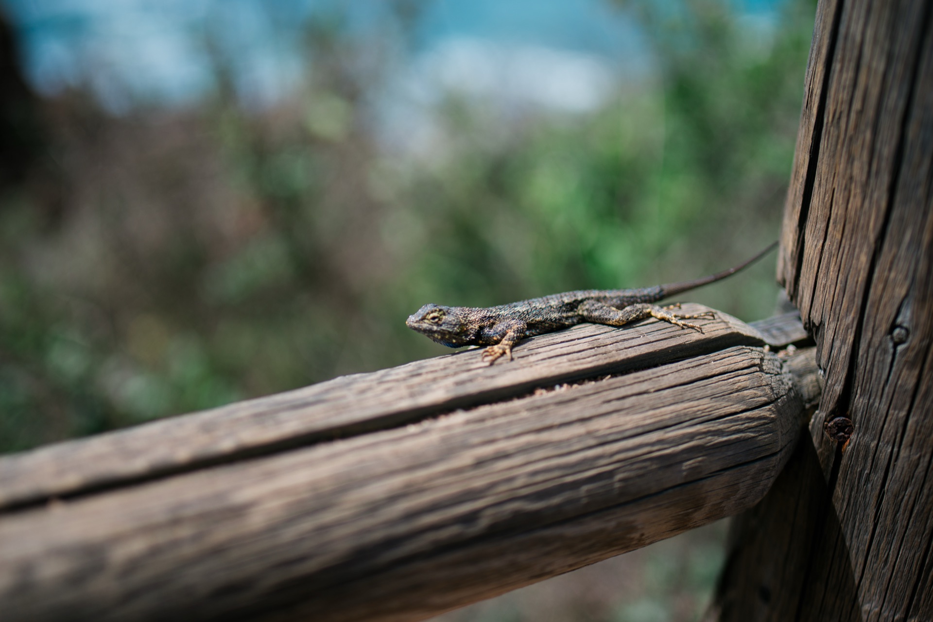 San Diego, California — photo 3