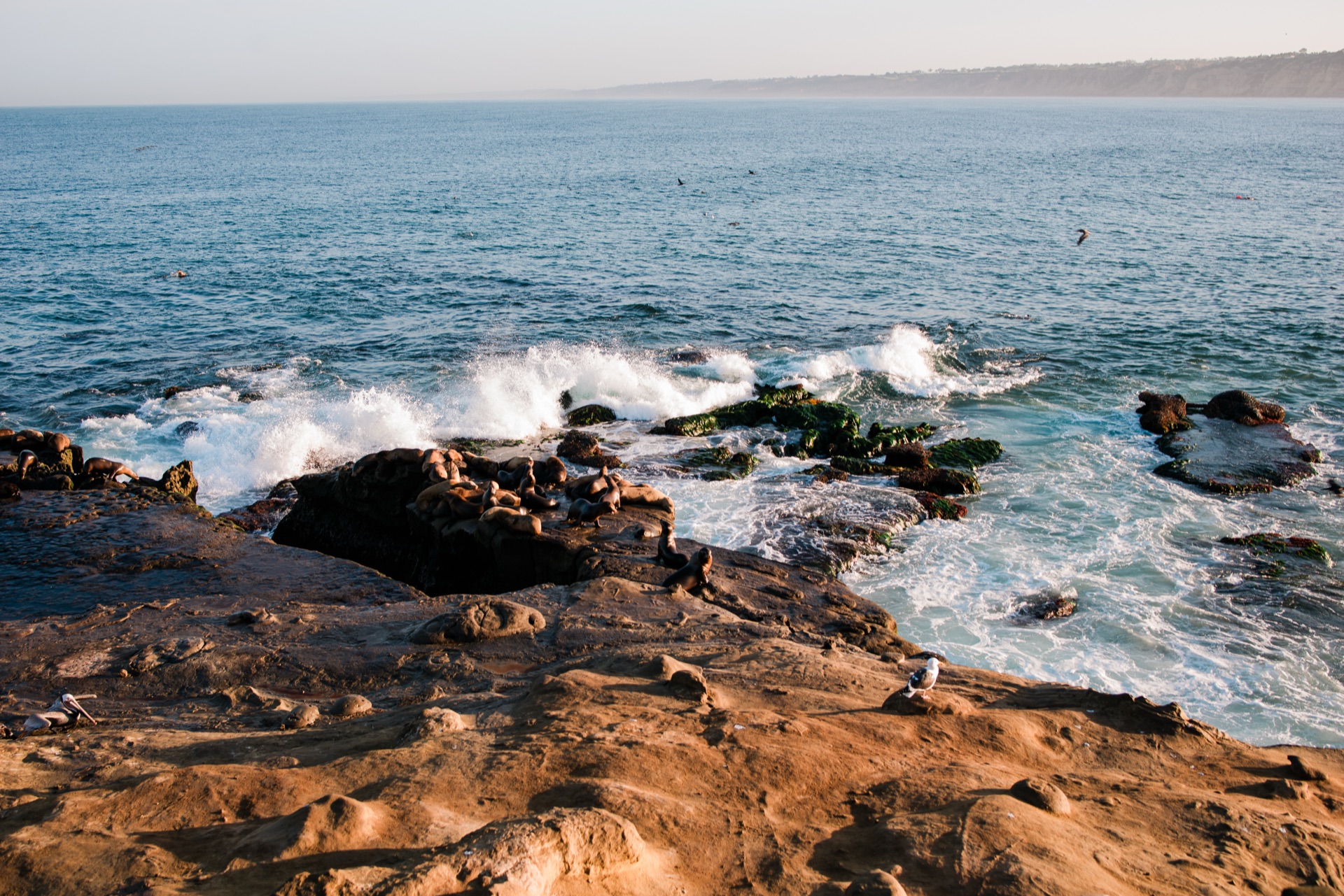 San Diego, California — photo 6