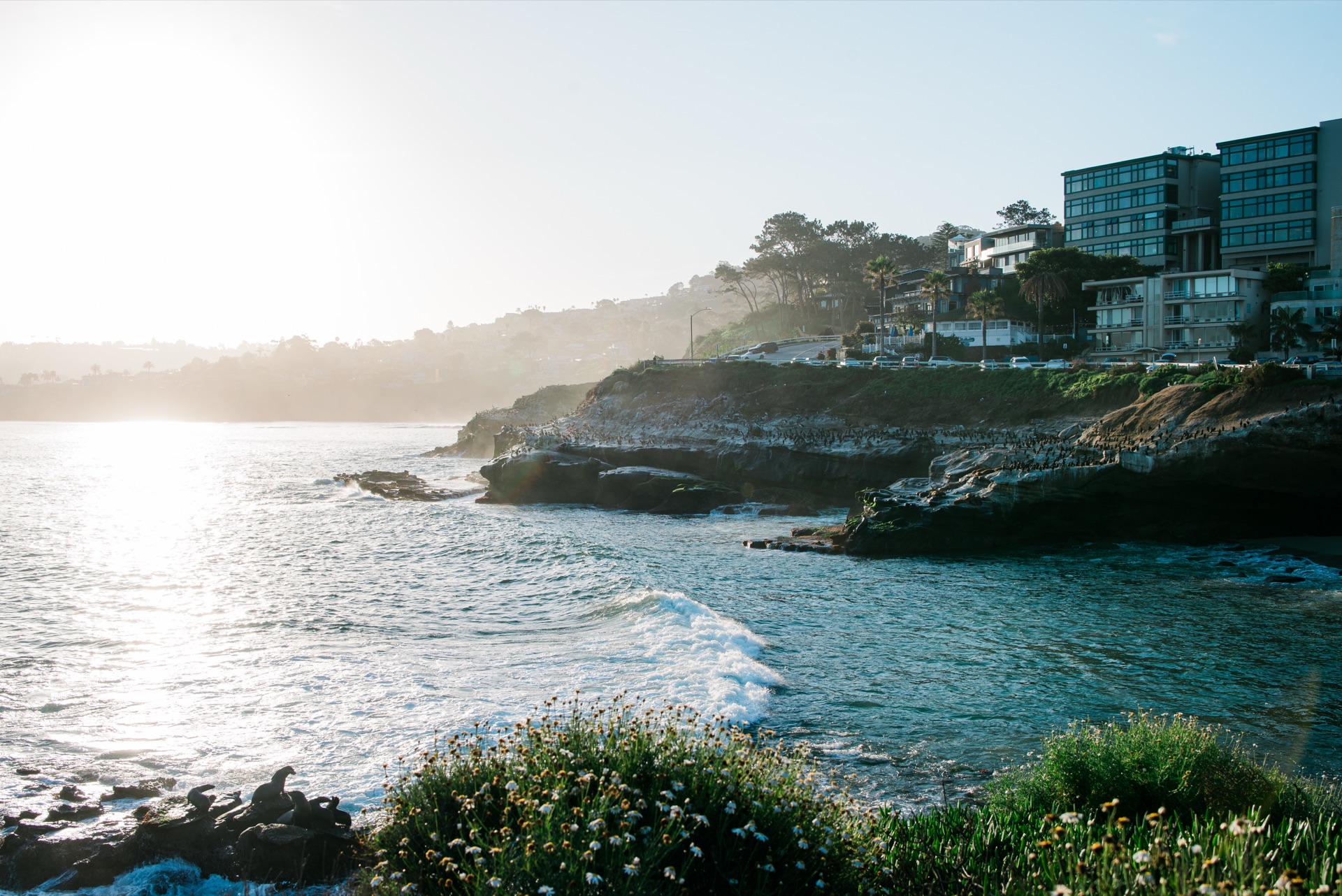 San Diego, California — photo 7