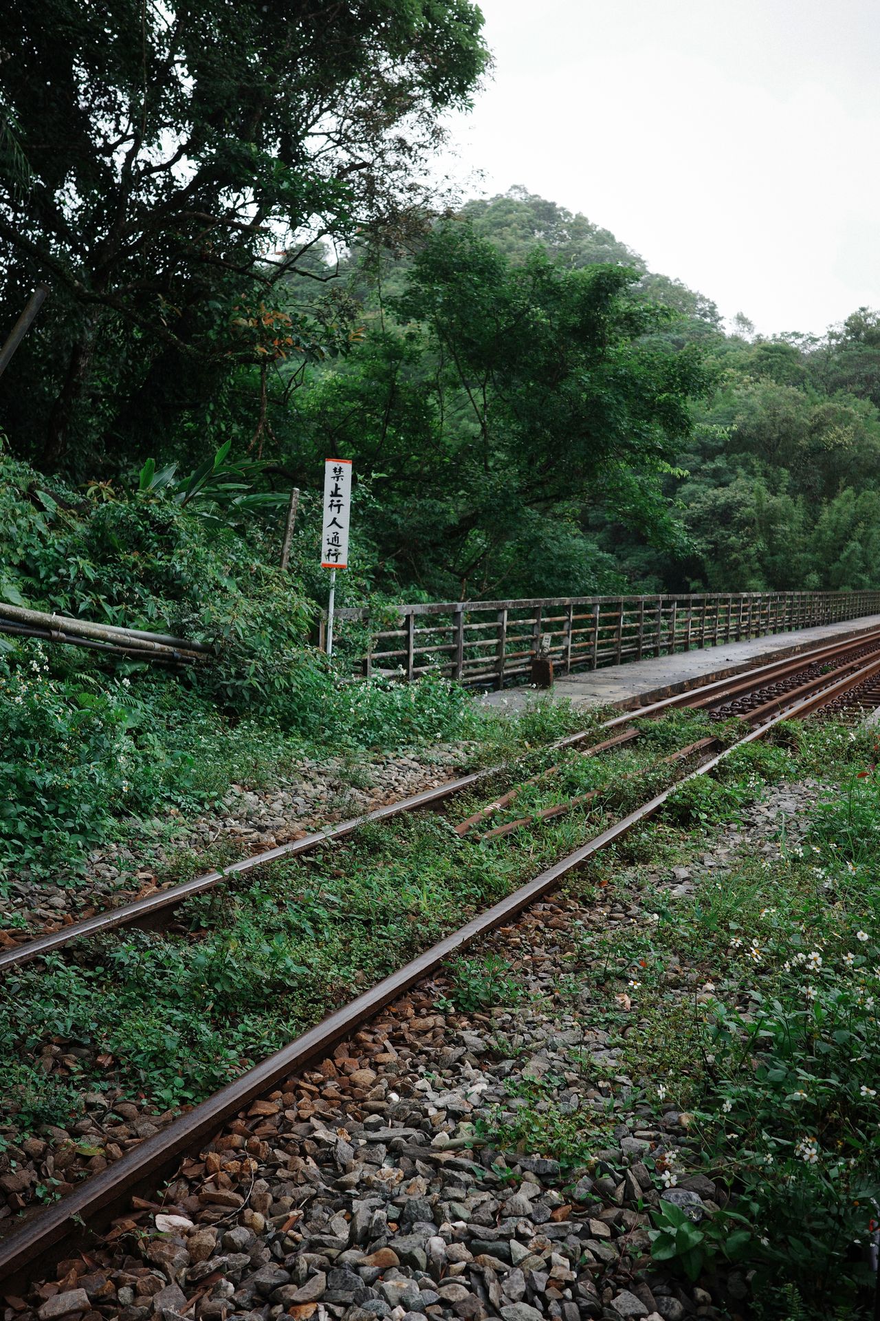 Taipei, Taiwan — photo 12