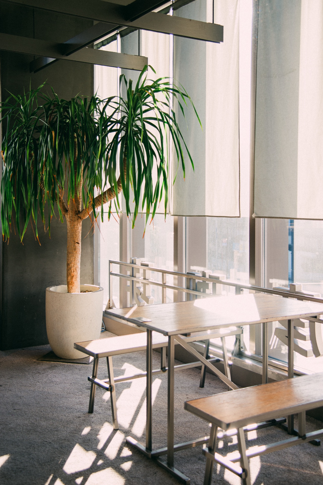 Tokyo, Japan — photo 6