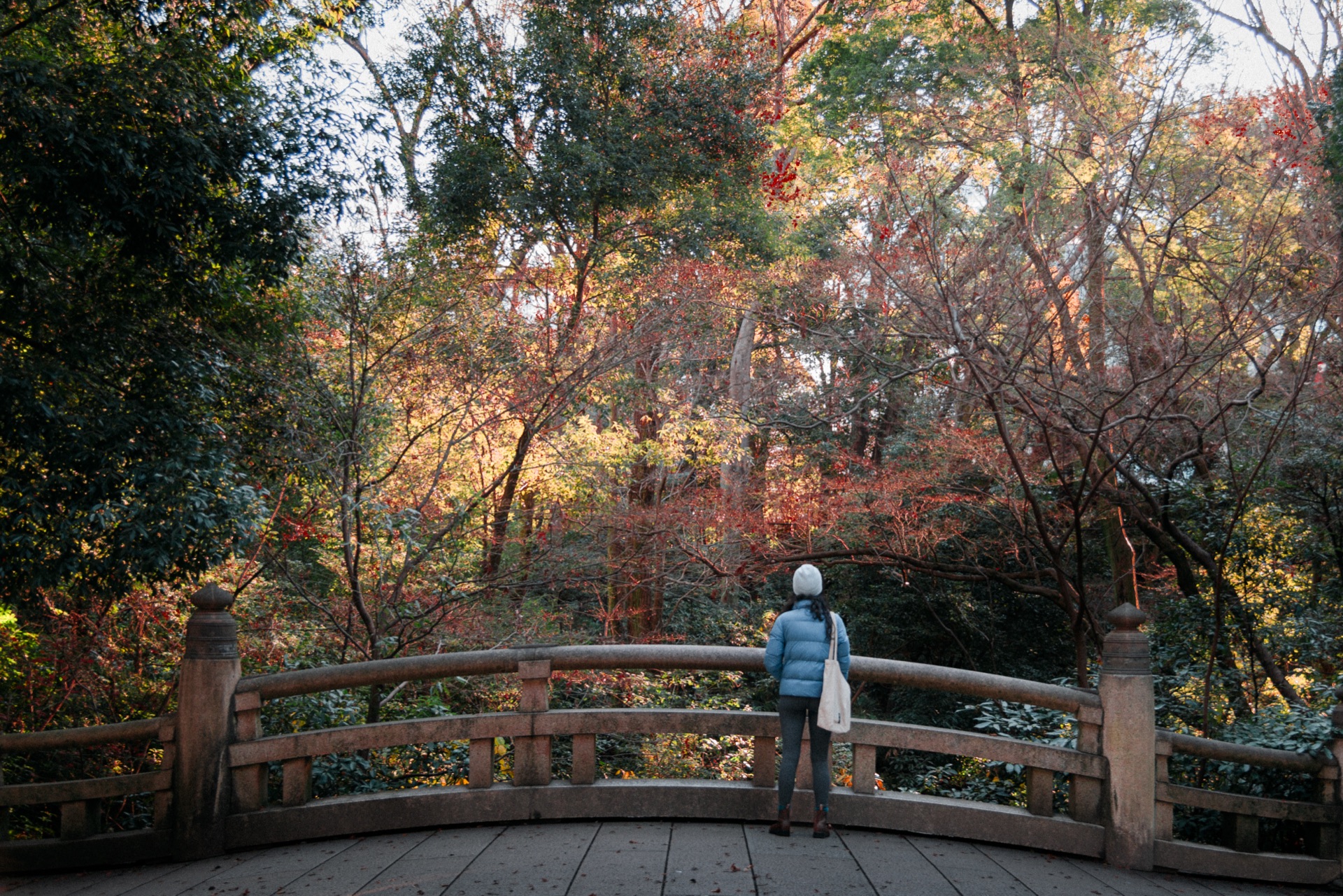 Tokyo, Japan — photo 8