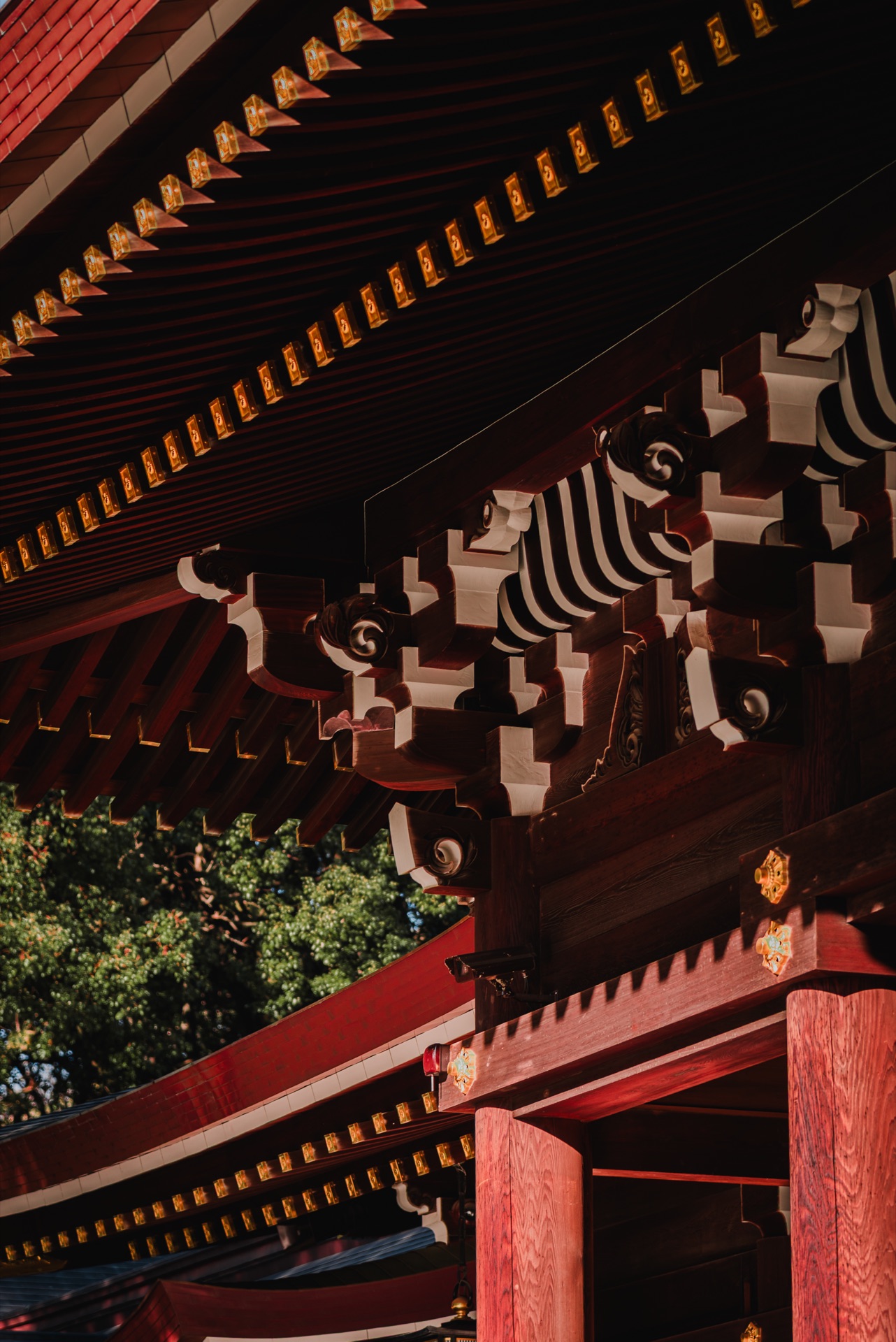 Tokyo, Japan — photo 12