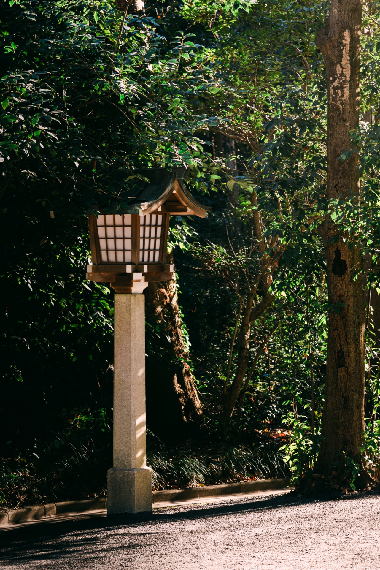 Tokyo, Japan — photo 13