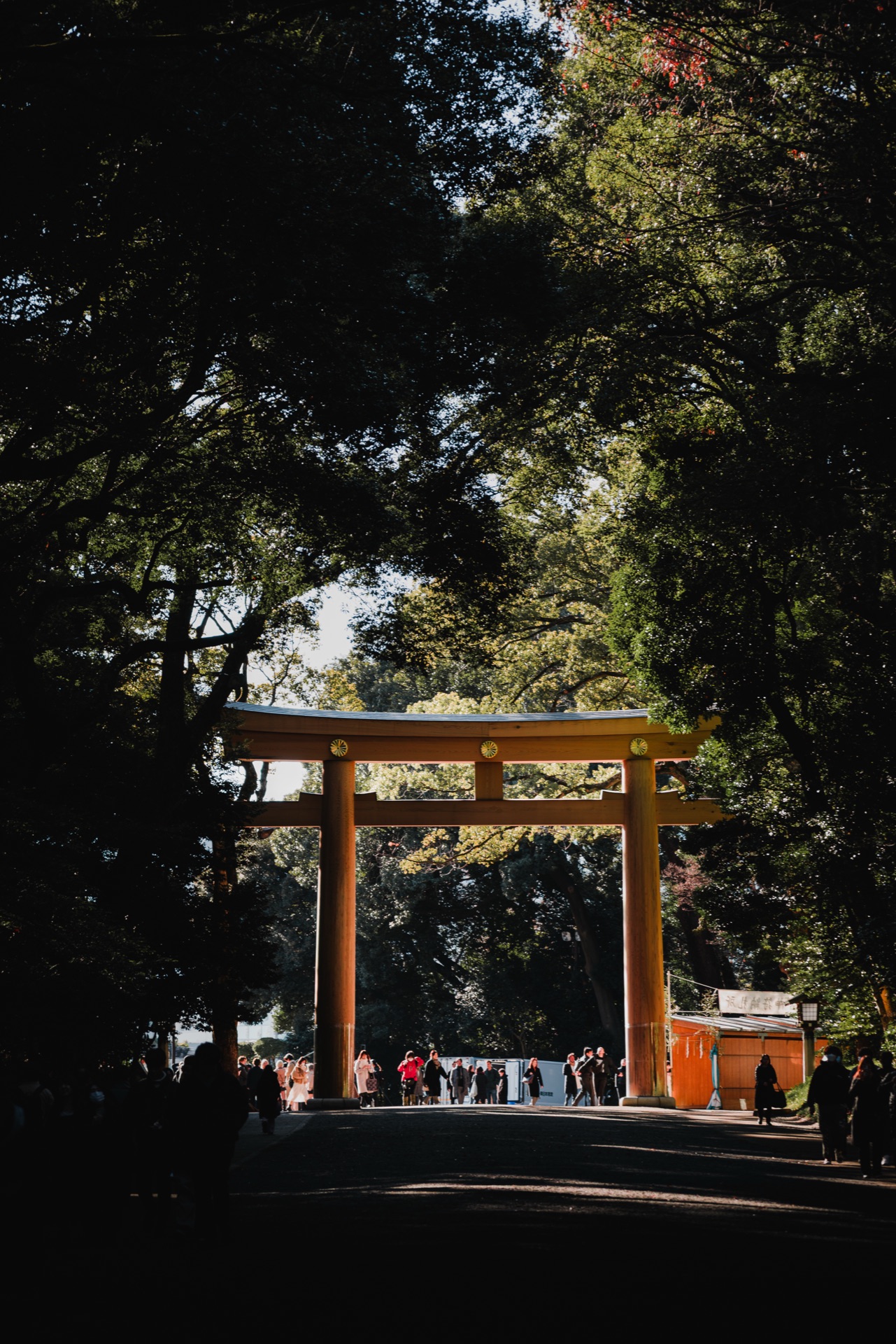 Tokyo, Japan — photo 14