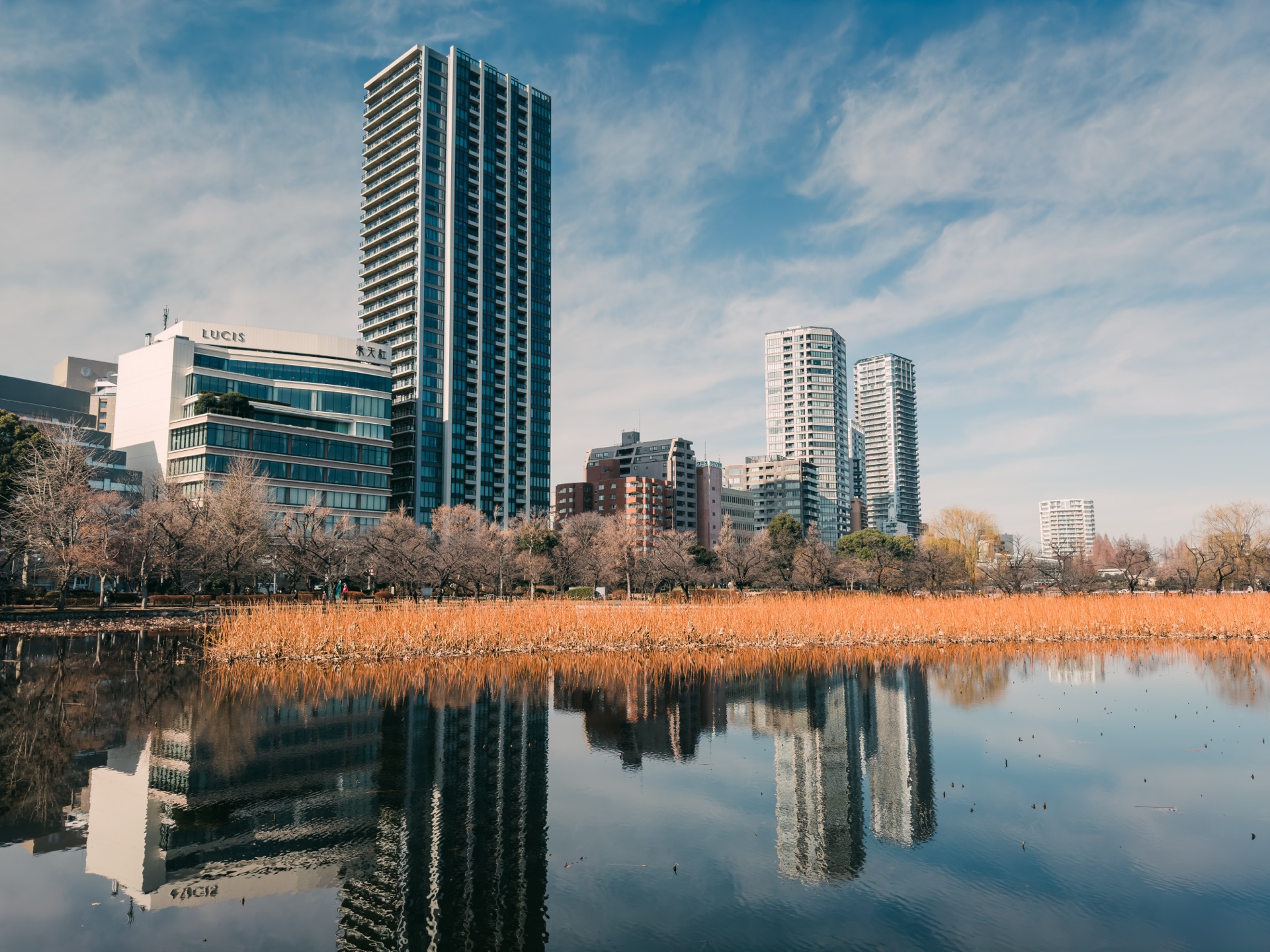 Tokyo Pt. 2, Japan — photo 7