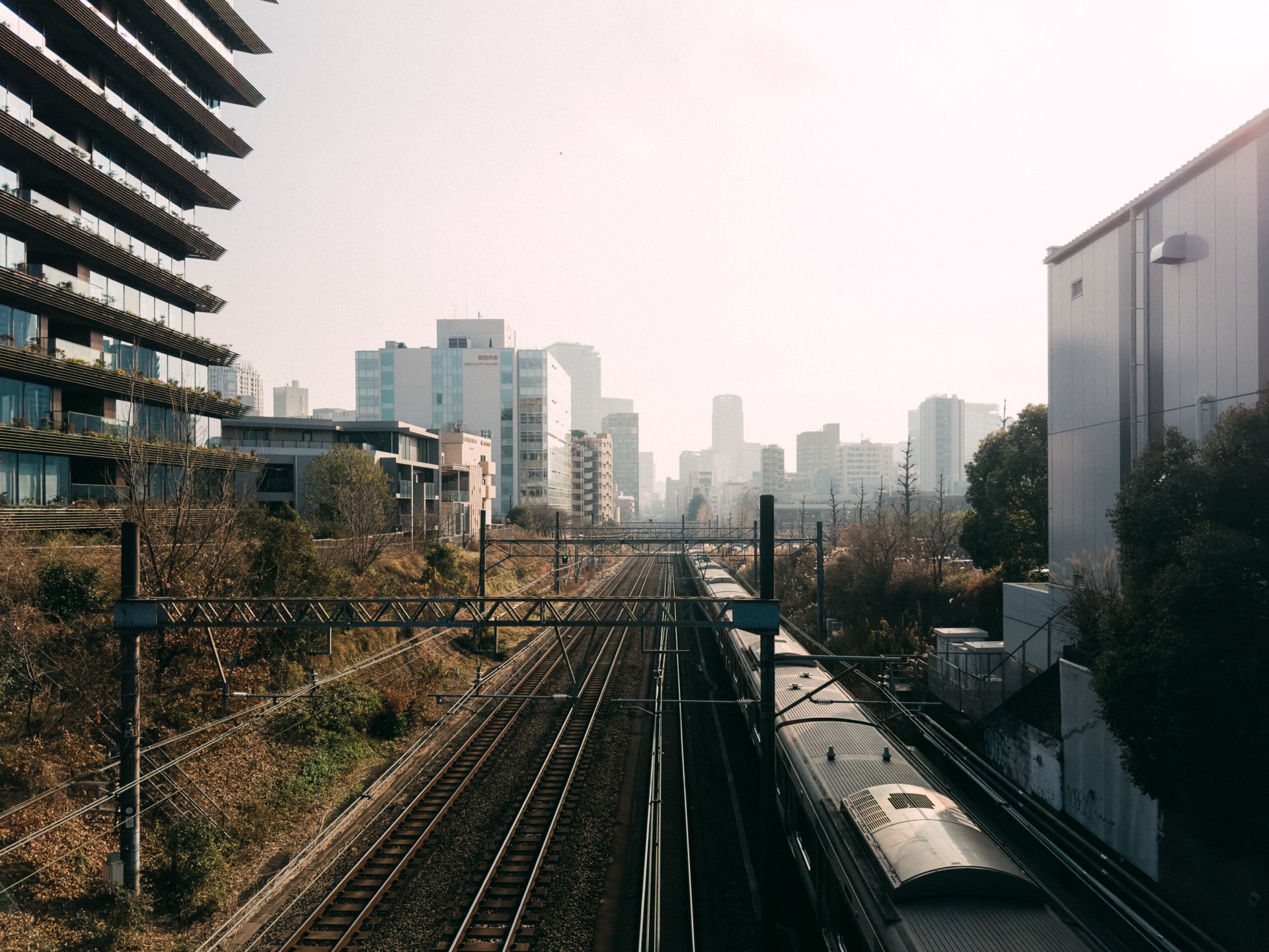 Tokyo Pt. 2, Japan — photo 8