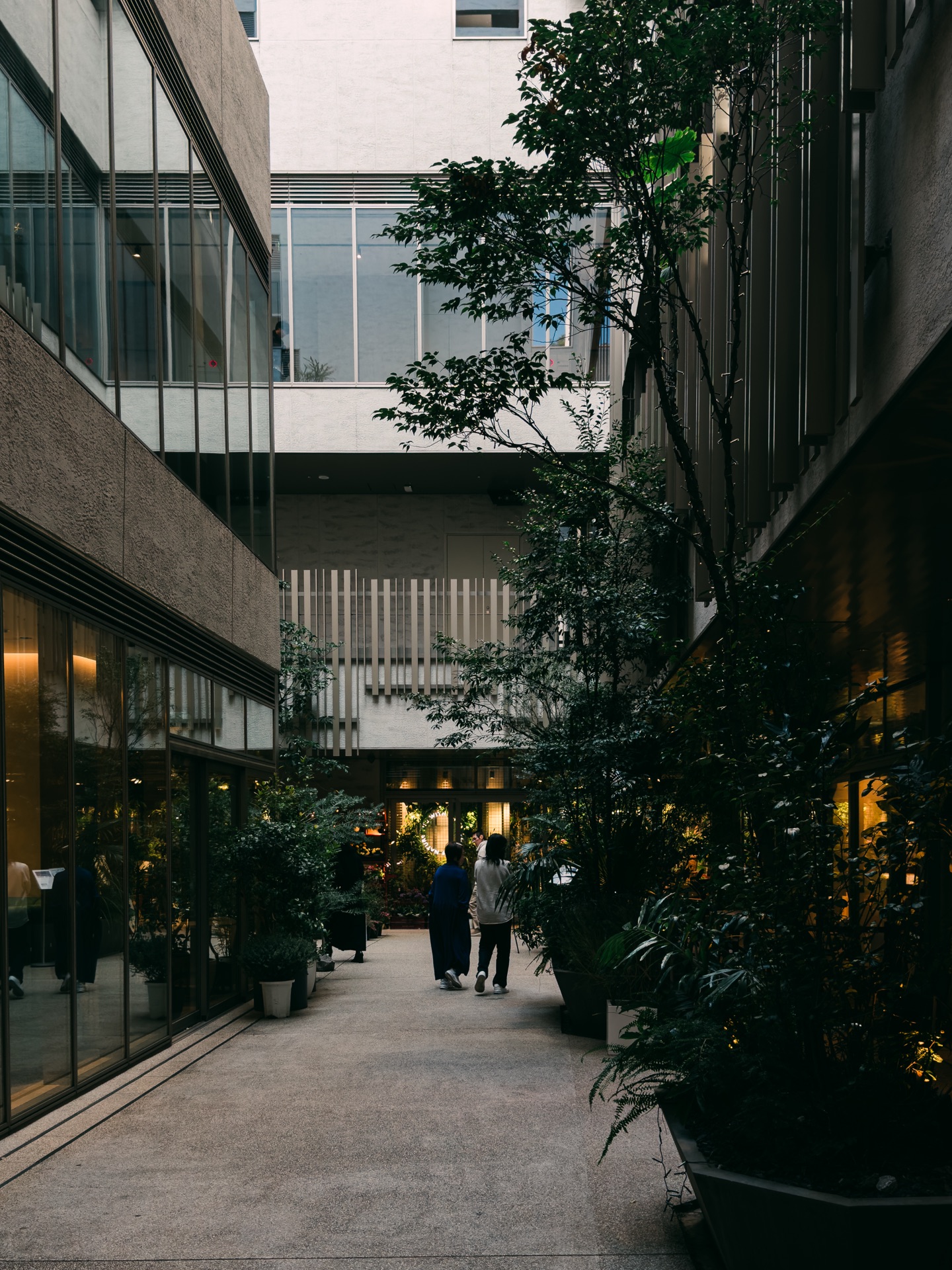 Tokyo Pt. 2, Japan — photo 10