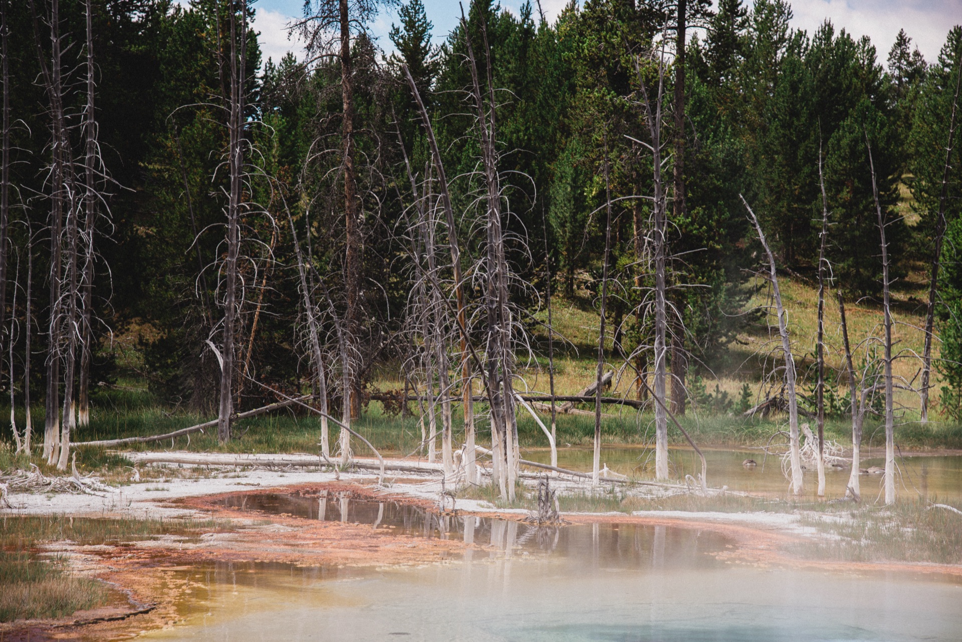 Yellowstone NP, Wyoming — photo 3