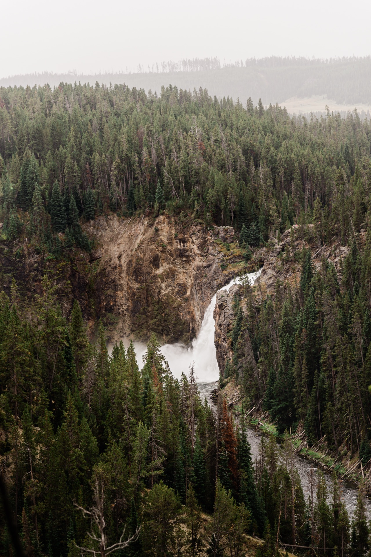 Yellowstone NP, Wyoming — photo 8
