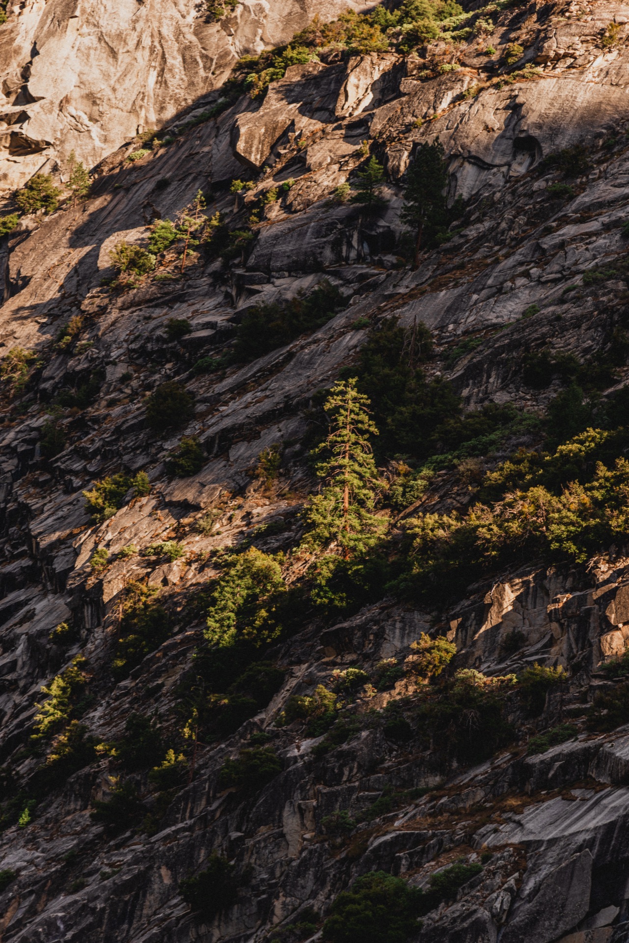 Yosemite, California — photo 10