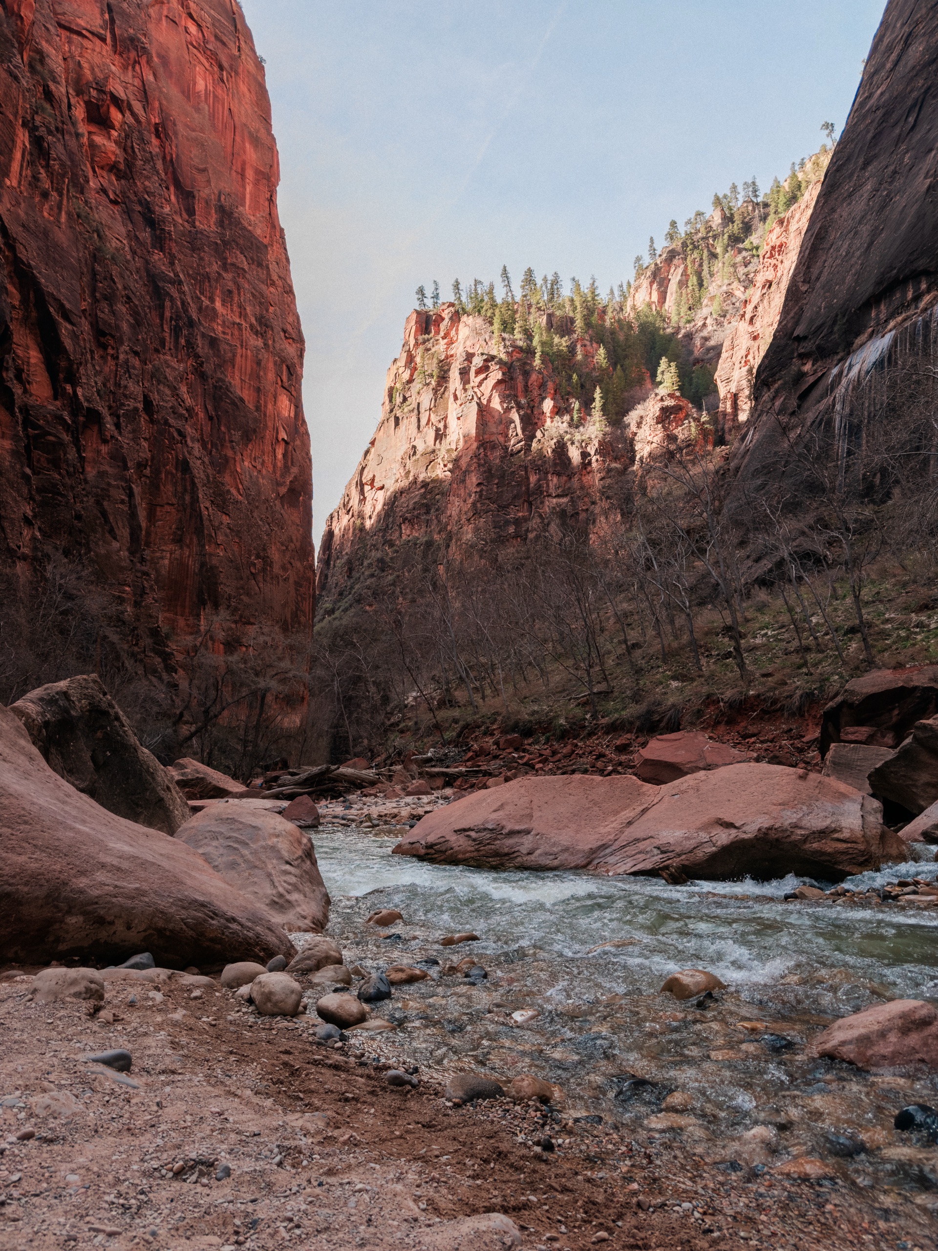 Zion NP, Utah — photo 4