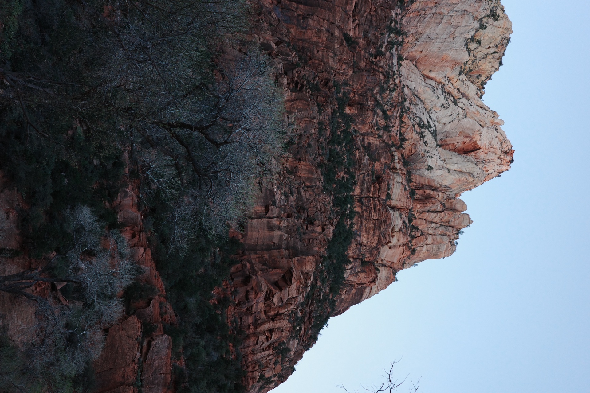 Zion NP, Utah — photo 6