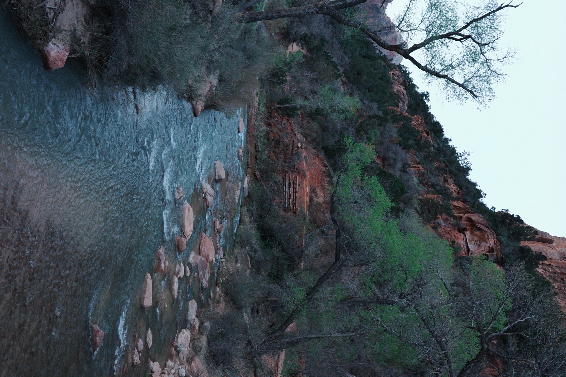 Zion NP, Utah — photo 8