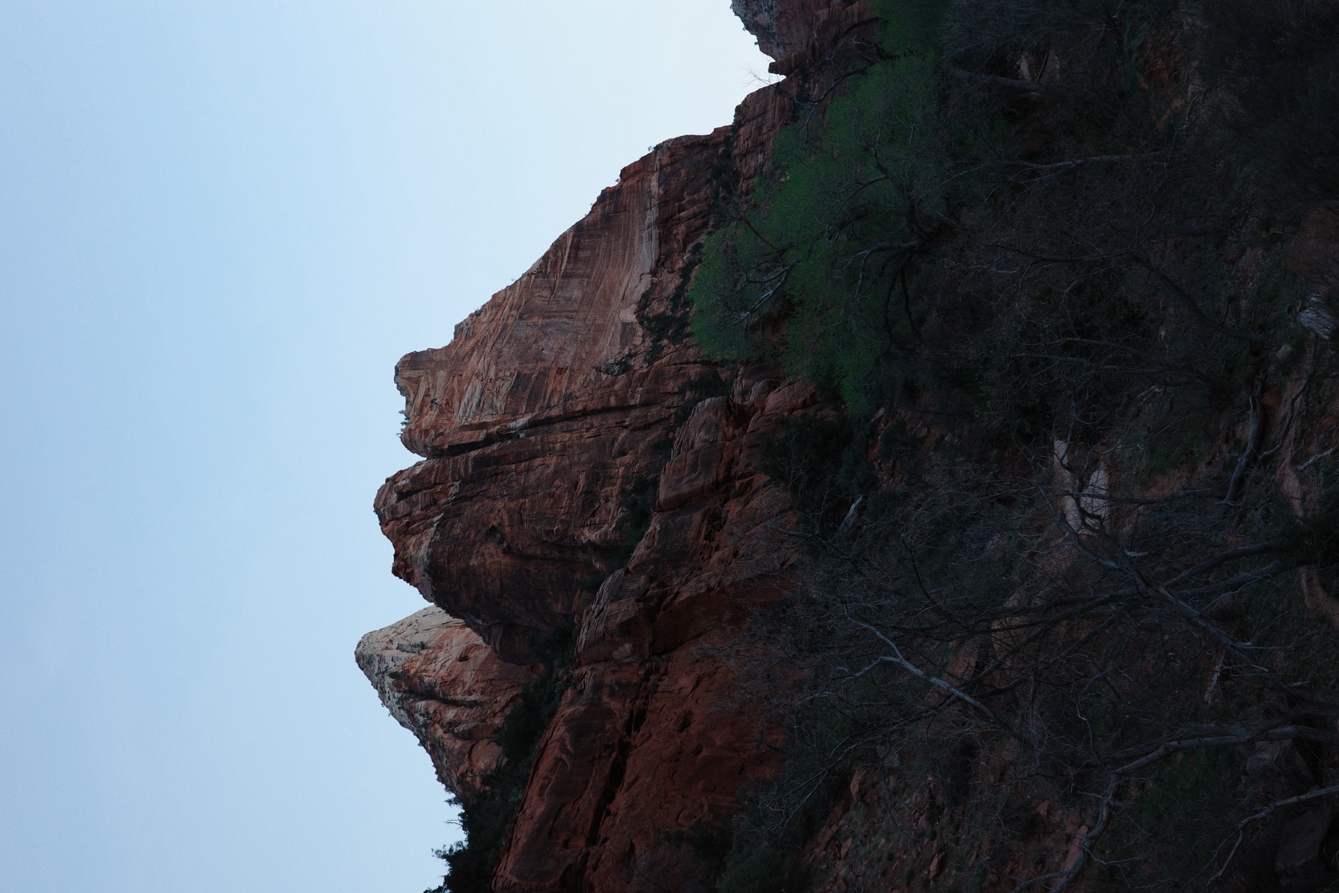 Zion NP, Utah — photo 9