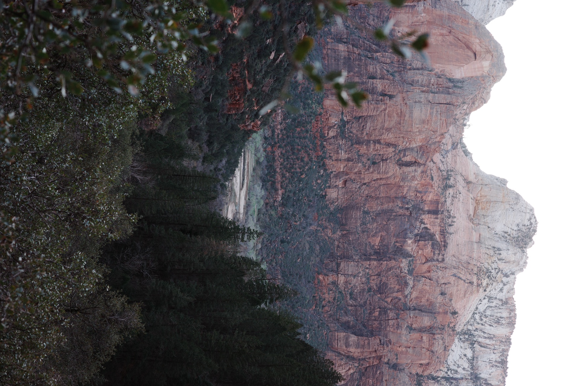 Zion NP, Utah — photo 10