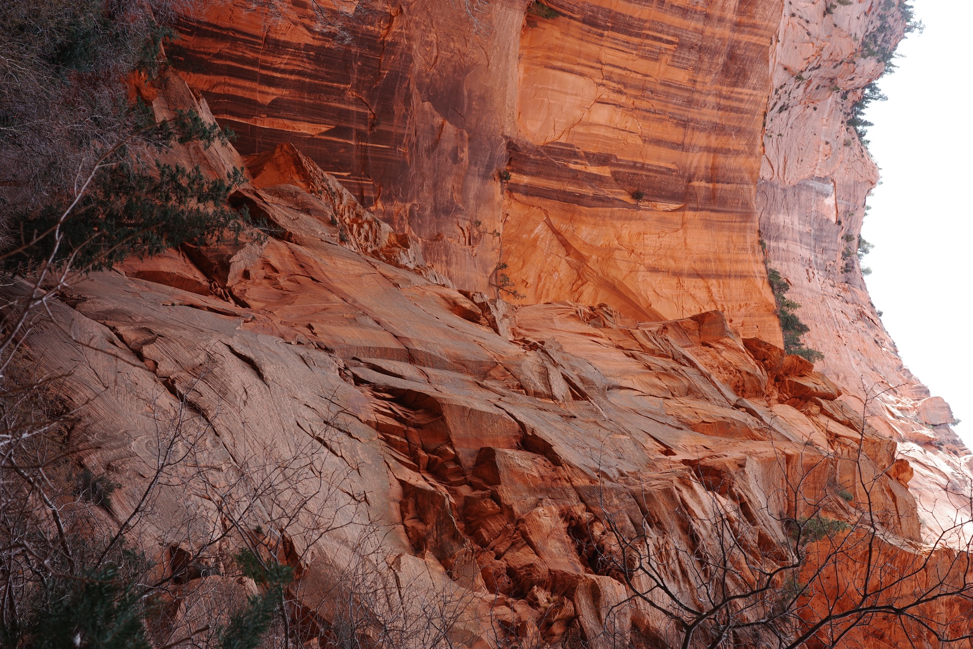 Zion NP, Utah — photo 14